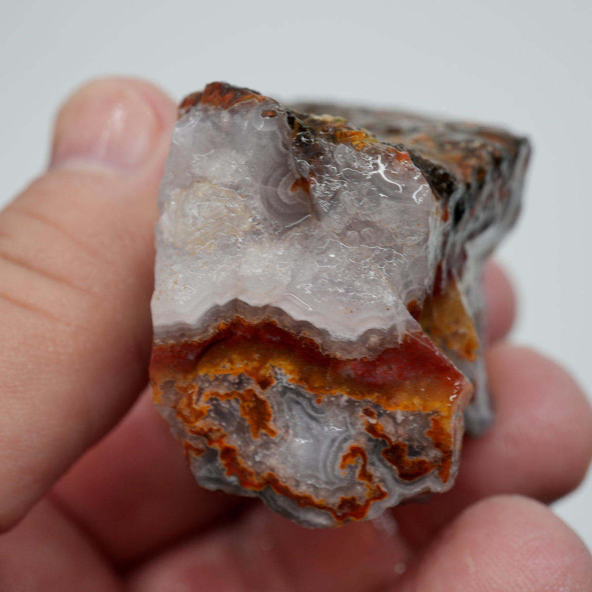 Agua Nueva Agate Rough - Fortification with Moss Above Mexican Moss Trimmer