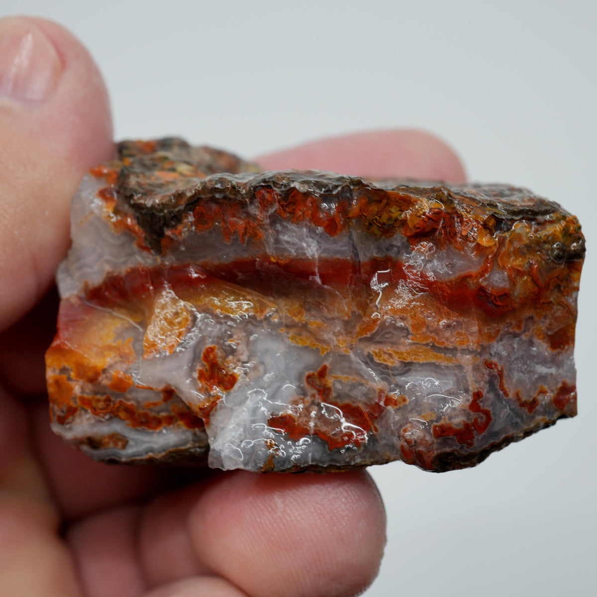 Agua Nueva Agate Rough - Fortification with Moss Above Mexican Moss Trimmer