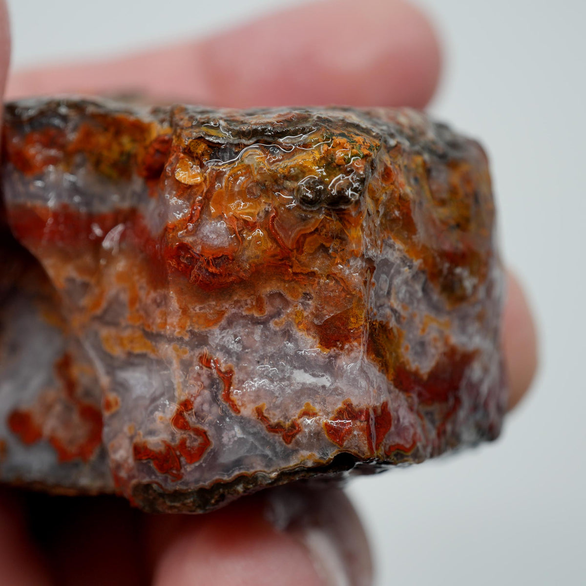 Agua Nueva Agate Rough - Fortification with Moss Above Mexican Moss Trimmer