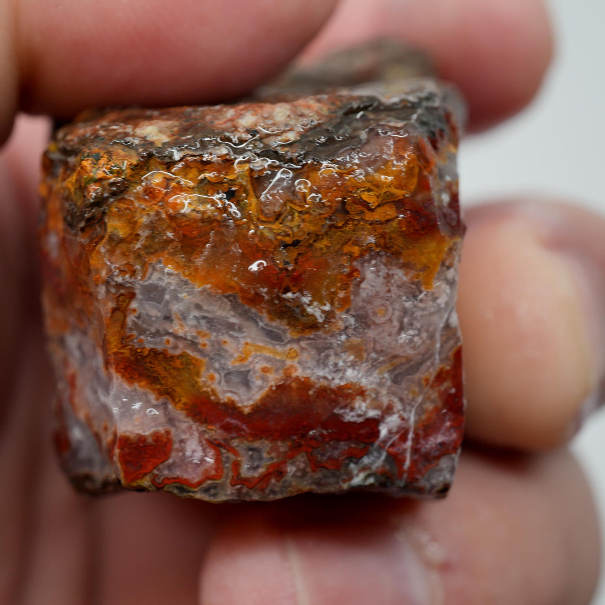 Agua Nueva Agate Rough - Fortification with Moss Above Mexican Moss Trimmer