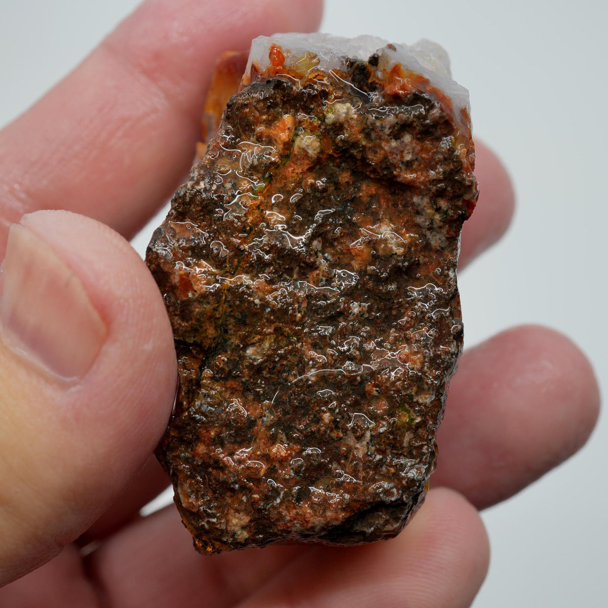 Agua Nueva Agate Rough - Fortification with Moss Above Mexican Moss Trimmer