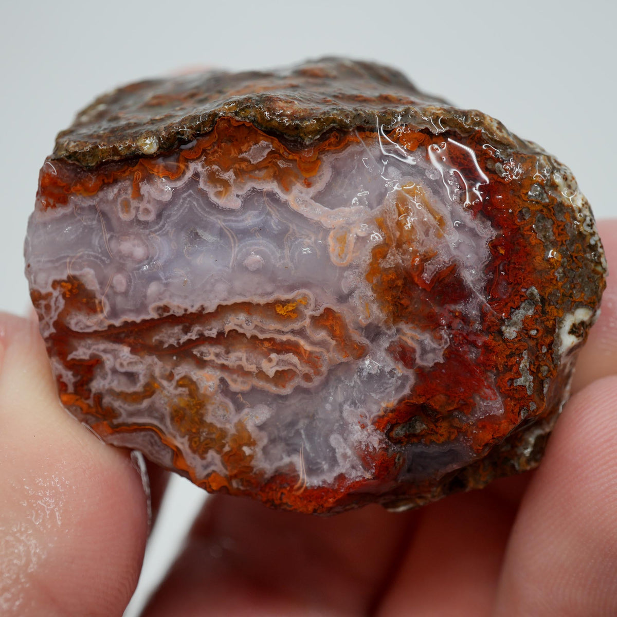 Agua Nueva Agate Rough - Fortified Banding and Moss Mexican Moss Trimmer