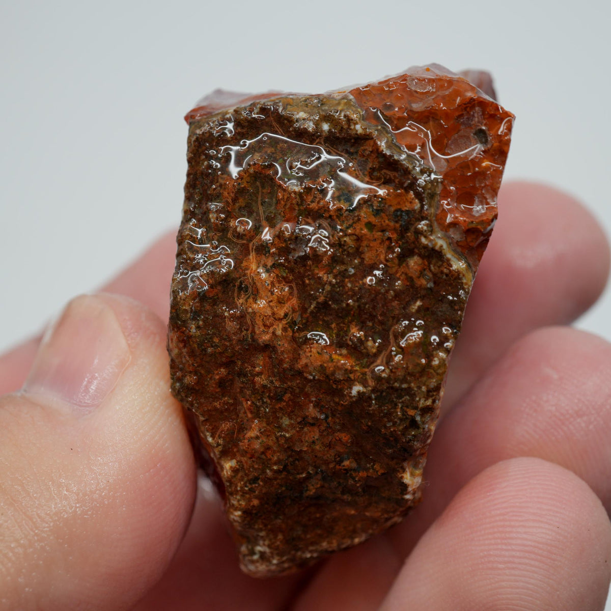 Agua Nueva Agate Rough - Fortified Banding and Moss Mexican Moss Trimmer
