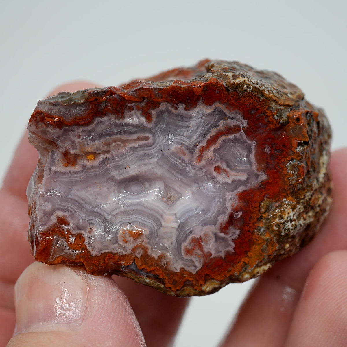 Agua Nueva Agate Rough - Fortified Banding and Moss Mexican Moss Trimmer