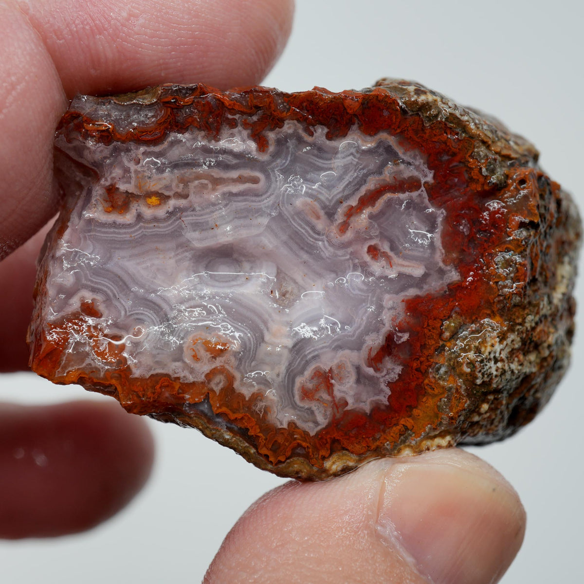 Agua Nueva Agate Rough - Fortified Banding and Moss Mexican Moss Trimmer
