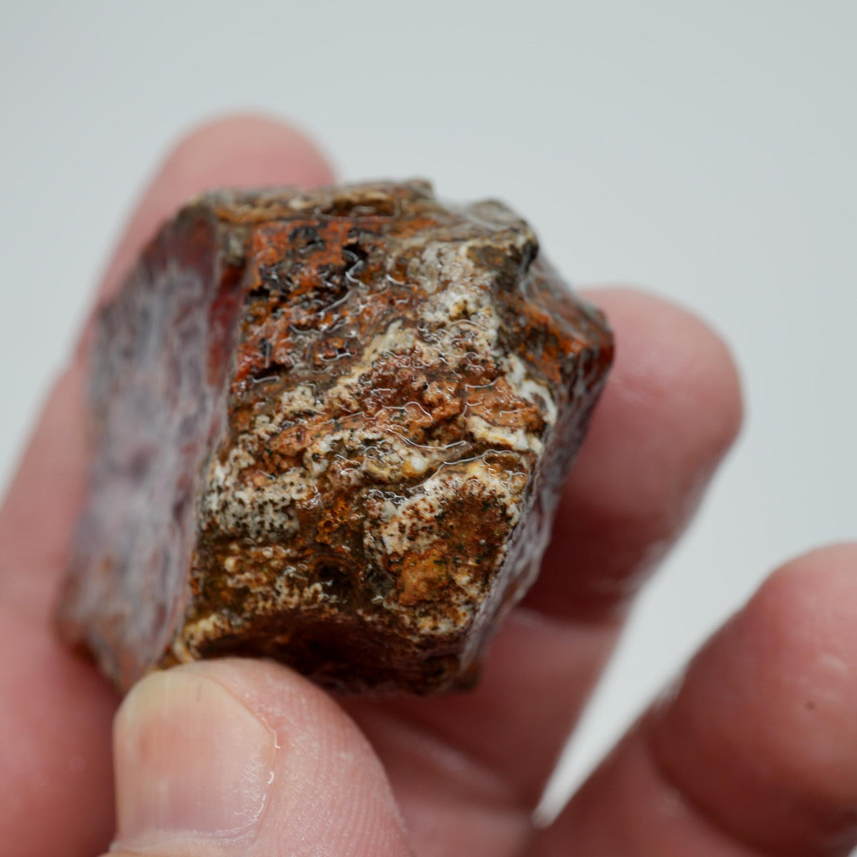 Agua Nueva Agate Rough - Fortified Banding and Moss Mexican Moss Trimmer