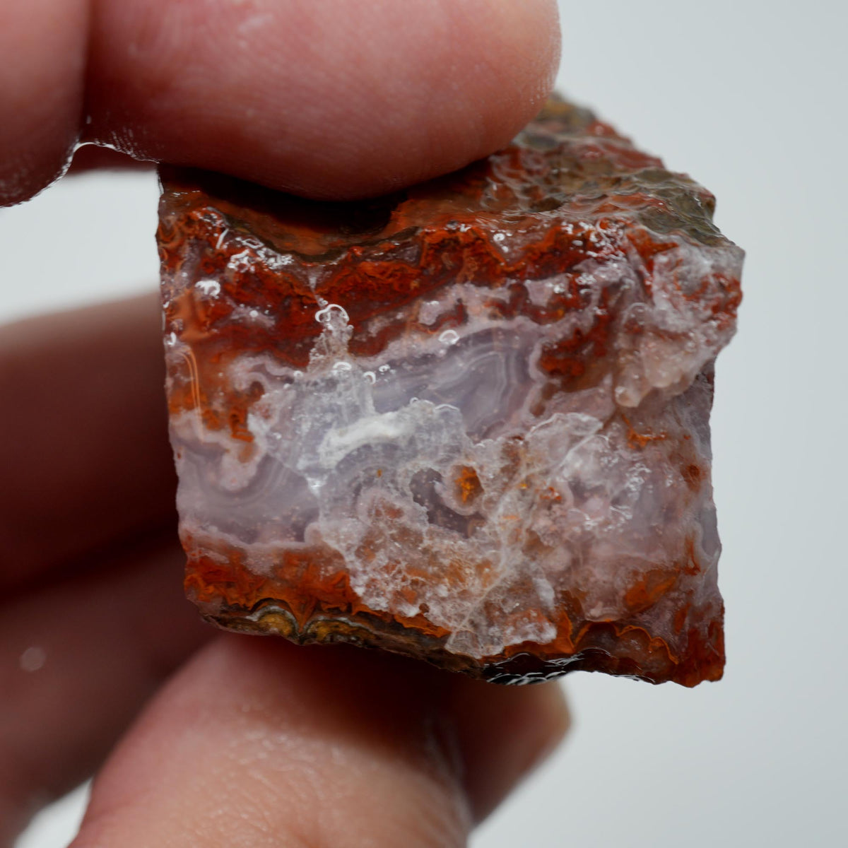 Agua Nueva Agate Rough - Fortified Banding and Moss Mexican Moss Trimmer