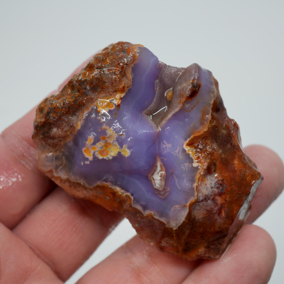 Agua Nueva Agate Rough - Druzy Deep Blue Purple Mexican Moss Trimmer