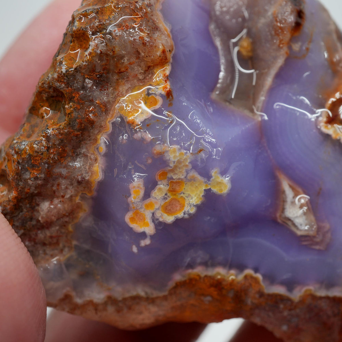 Agua Nueva Agate Rough - Druzy Deep Blue Purple Mexican Moss Trimmer