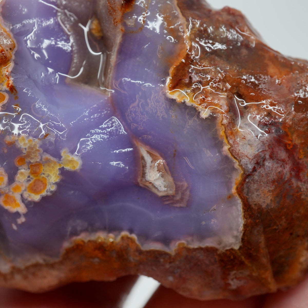 Agua Nueva Agate Rough - Druzy Deep Blue Purple Mexican Moss Trimmer