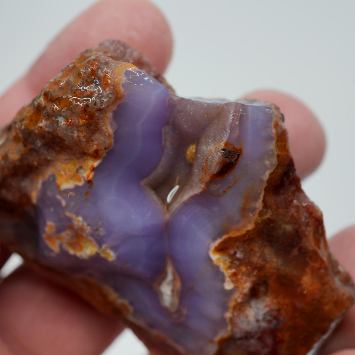 Agua Nueva Agate Rough - Druzy Deep Blue Purple Mexican Moss Trimmer