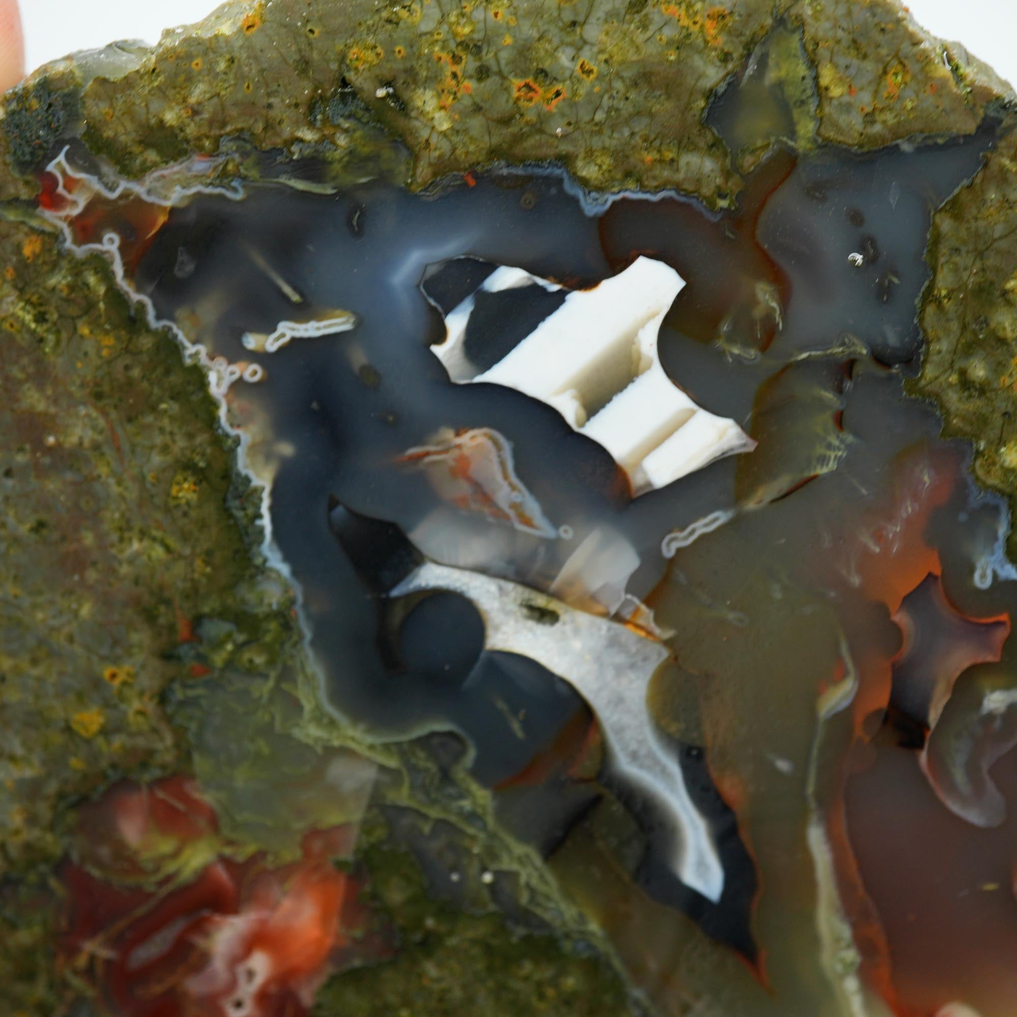 Desolation Canyon Thunderegg Cut and Proven - Red White Blue Fortification