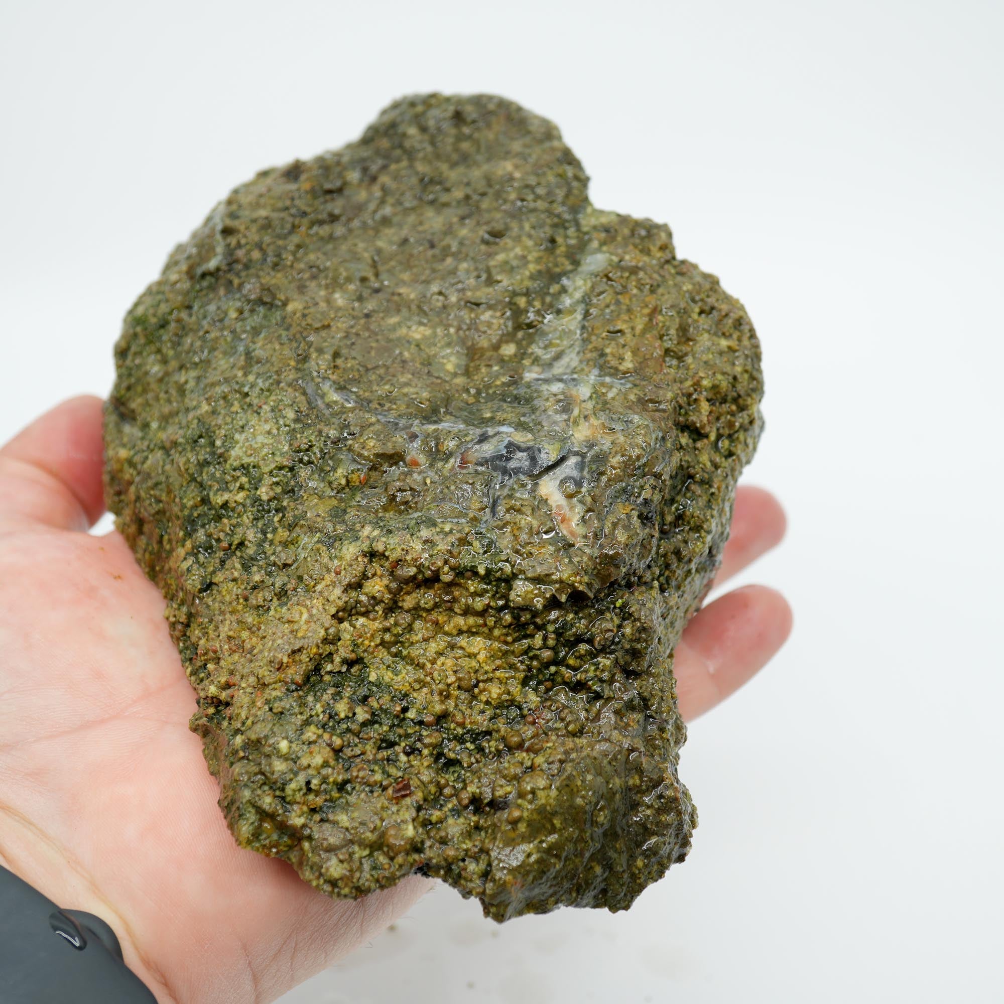 Desolation Canyon Thunderegg Cut and Proven - Red White Blue Fortification