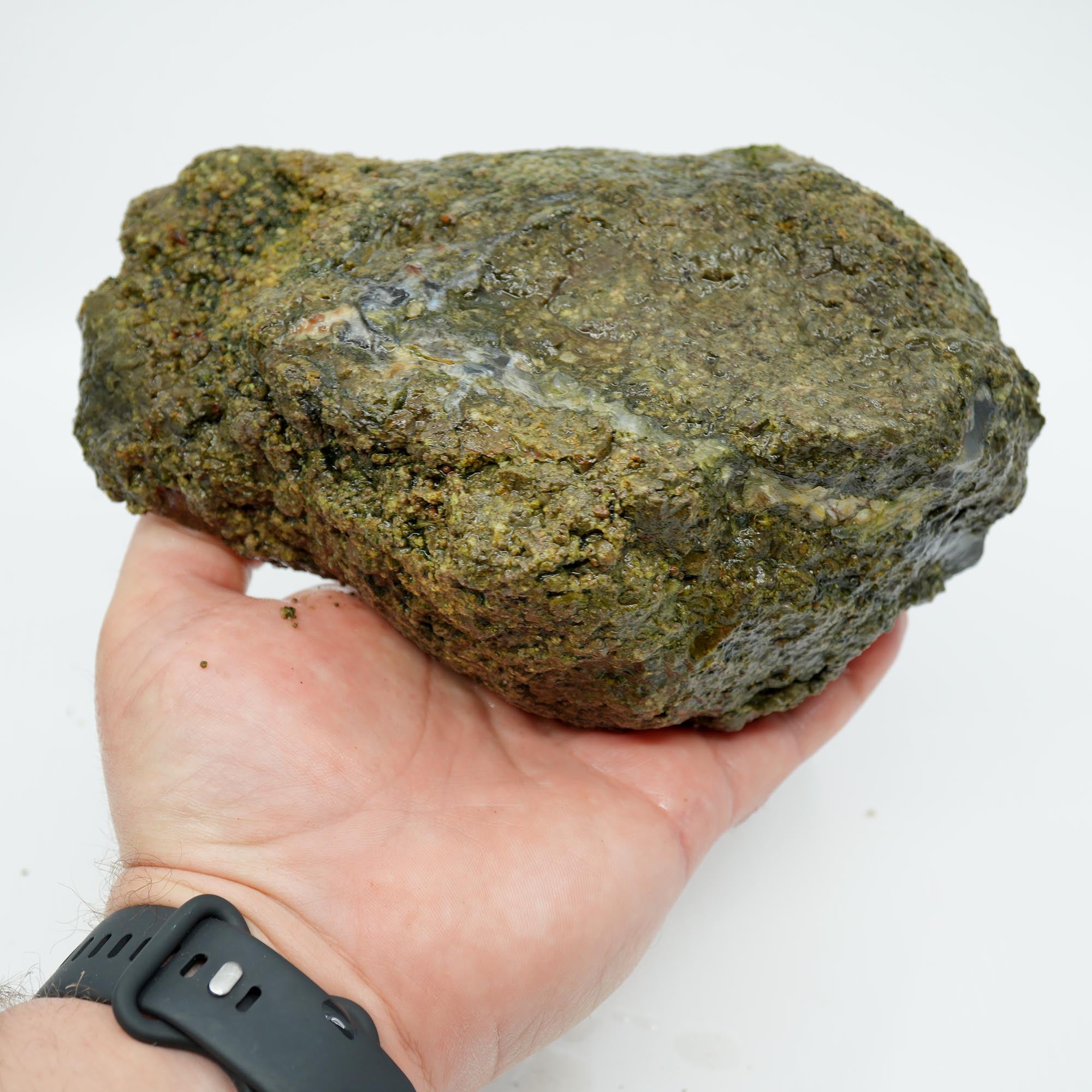 Desolation Canyon Thunderegg Cut and Proven - Red White Blue Fortification