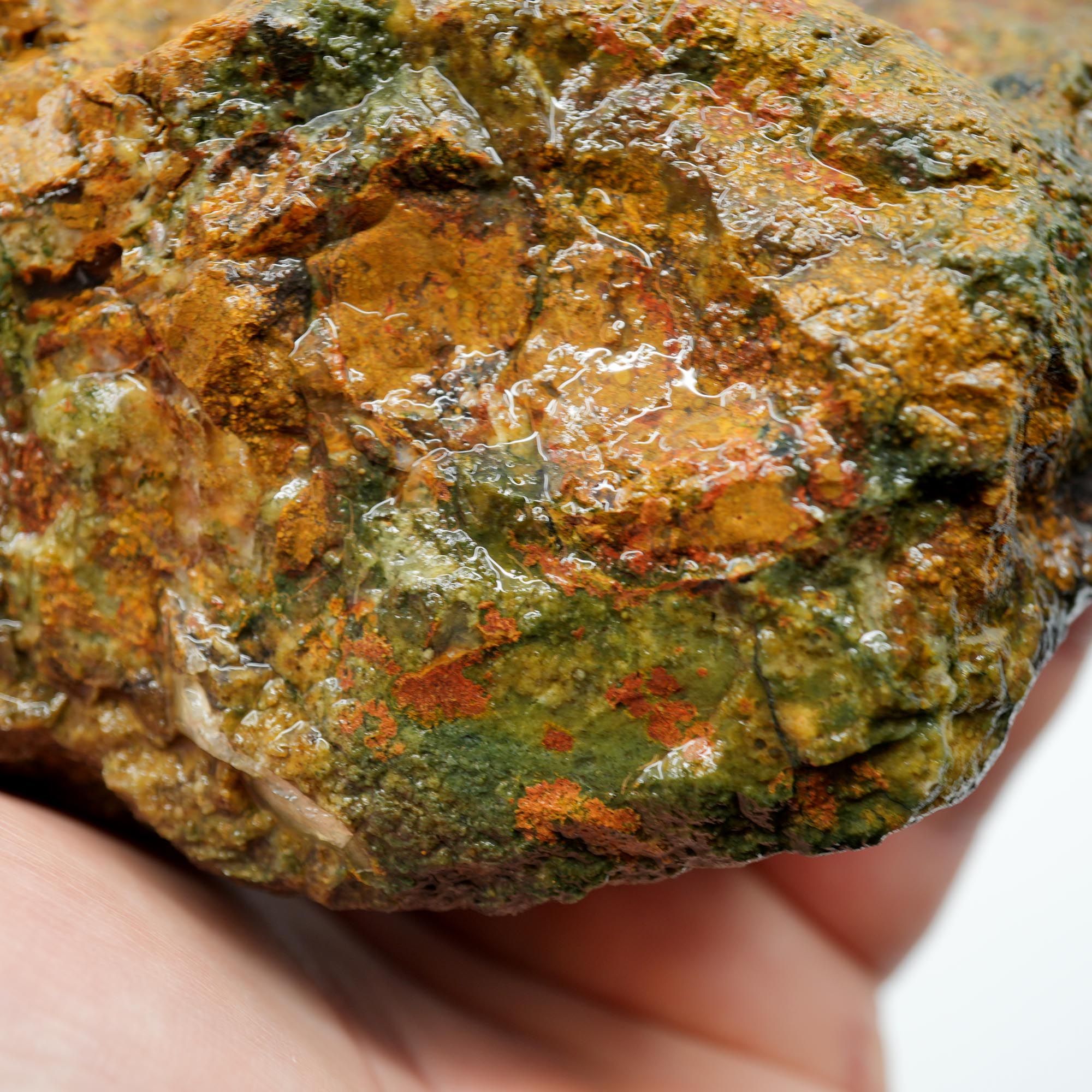 Amity Plume Jasper Rough - Golden Jasper with Green Pseudo-Plume Breccia