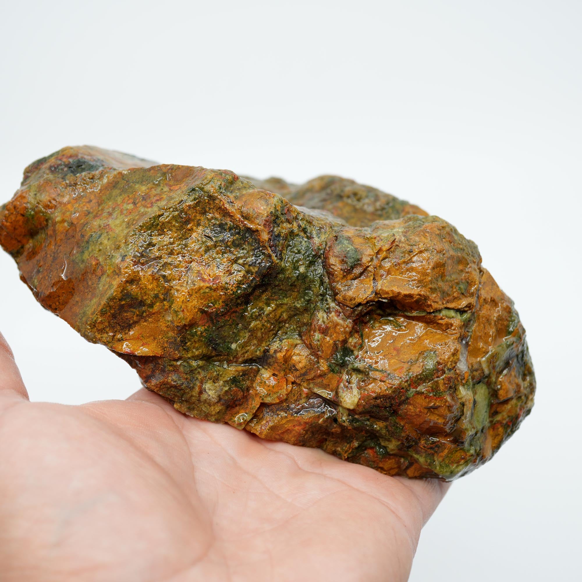Amity Plume Jasper Rough - Golden Jasper with Green Pseudo-Plume Breccia