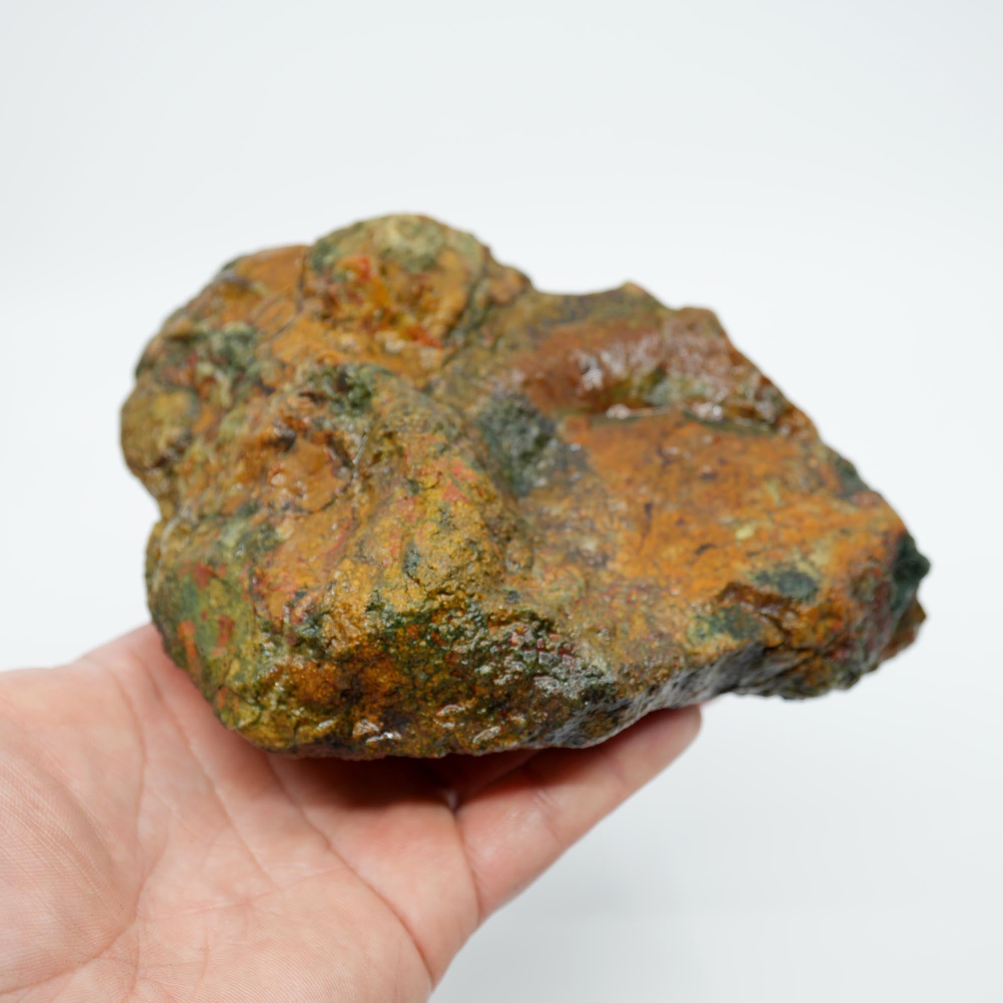 Amity Plume Jasper Rough - Golden Jasper with Green Pseudo-Plume Breccia