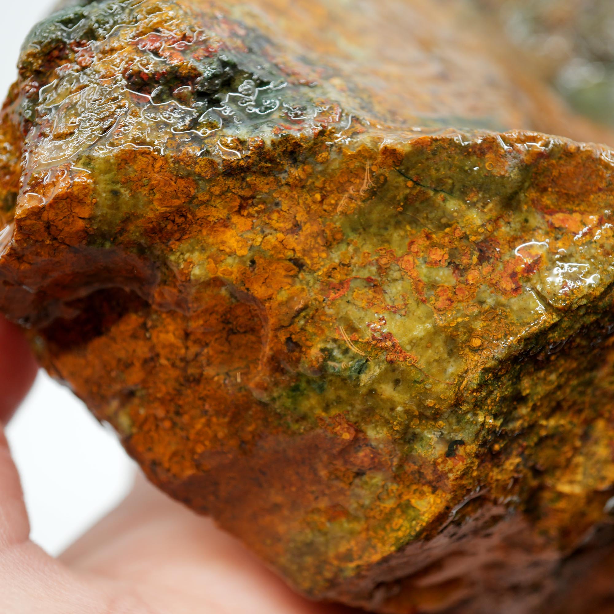 Amity Plume Jasper Rough - Golden Jasper with Green Pseudo-Plume Breccia