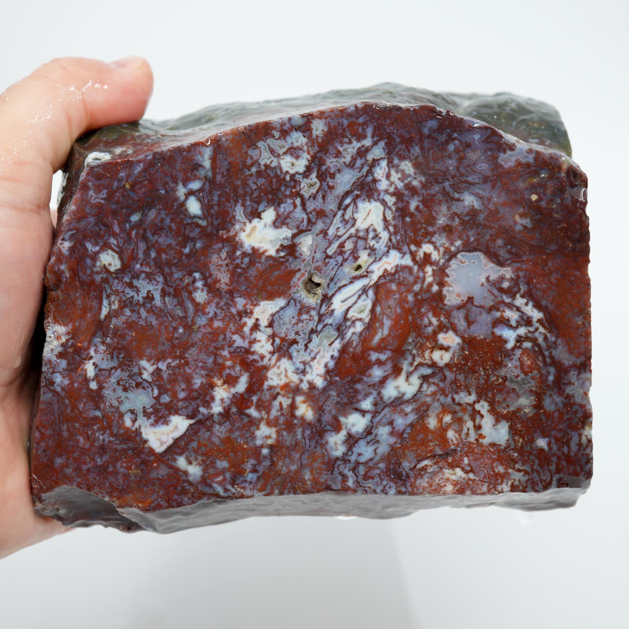 Maury Mountain Moss Agate Cut and Proven - Red Green Moss Bookend