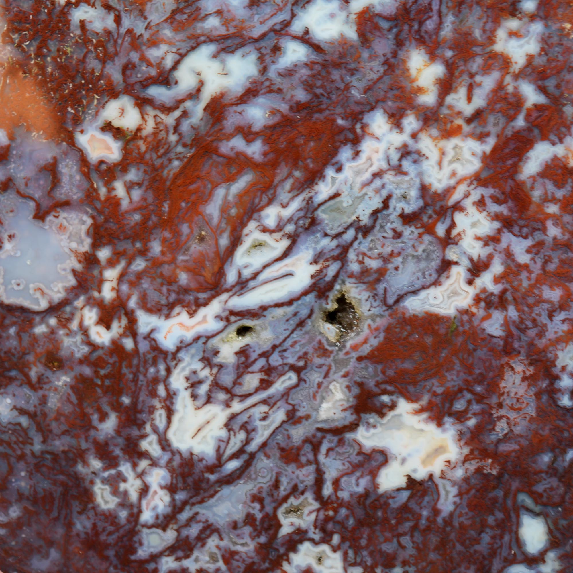 Maury Mountain Moss Agate Cut and Proven - Red Green Moss Bookend