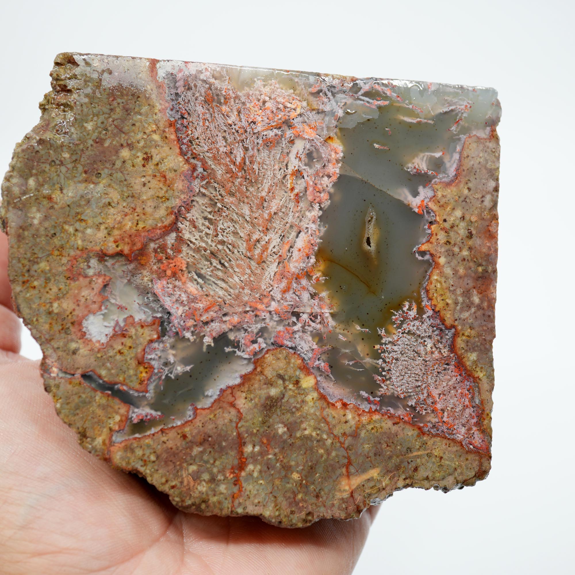 Lucky Strike Thunderegg Polished Bookend Cut - Semi-Gloss Two-Sided Cut