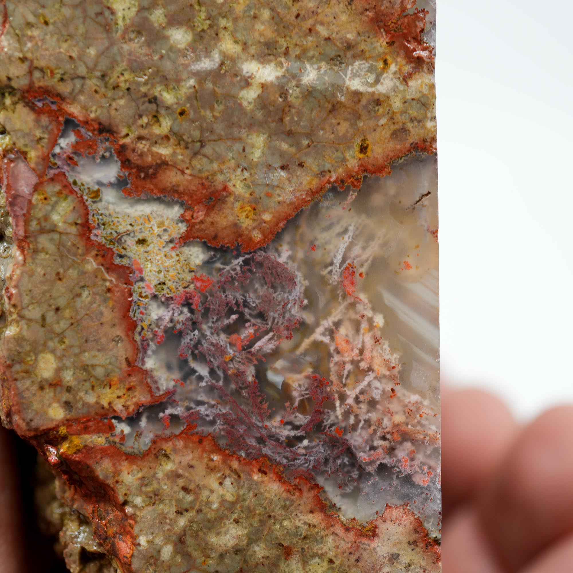 Lucky Strike Thunderegg Polished Bookend Cut - Semi-Gloss Two-Sided Cut