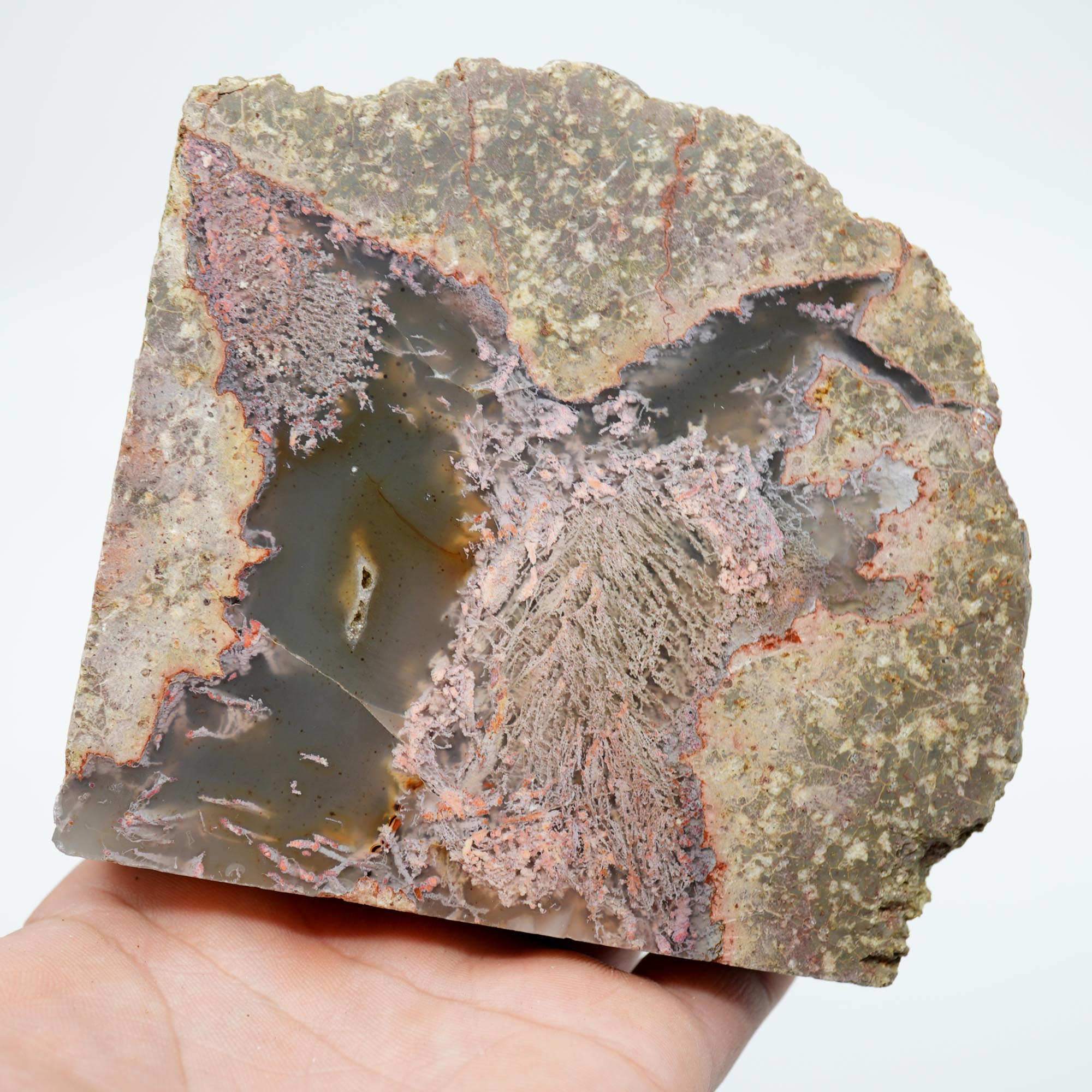 Lucky Strike Thunderegg Polished Bookend Cut - Semi-Gloss Two-Sided Cut