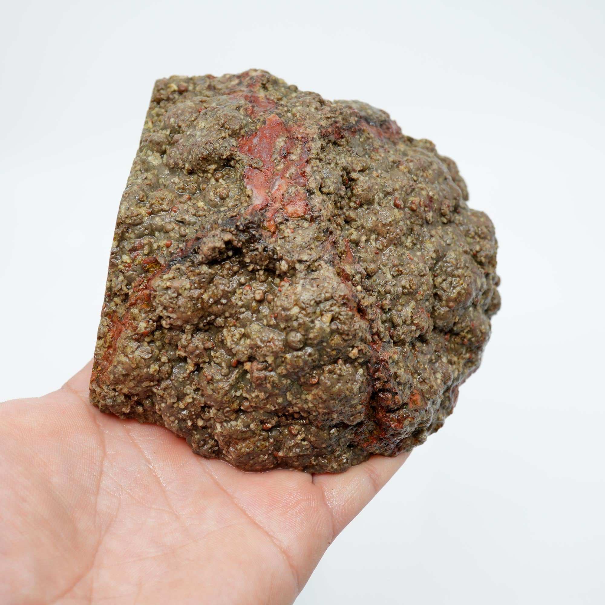Lucky Strike Thunderegg Polished Bookend Cut - Semi-Gloss Two-Sided Cut