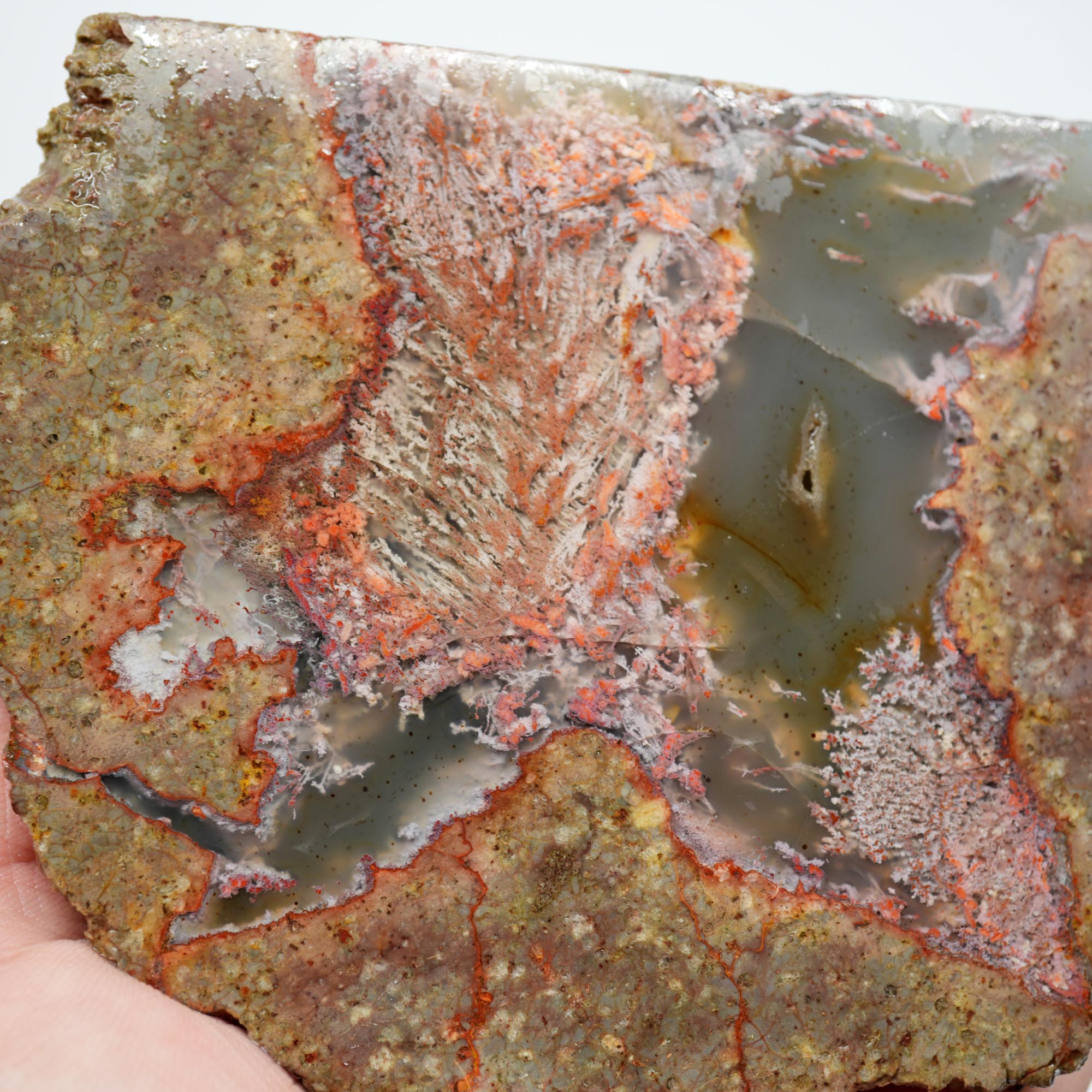 Lucky Strike Thunderegg Polished Bookend Cut - Semi-Gloss Two-Sided Cut