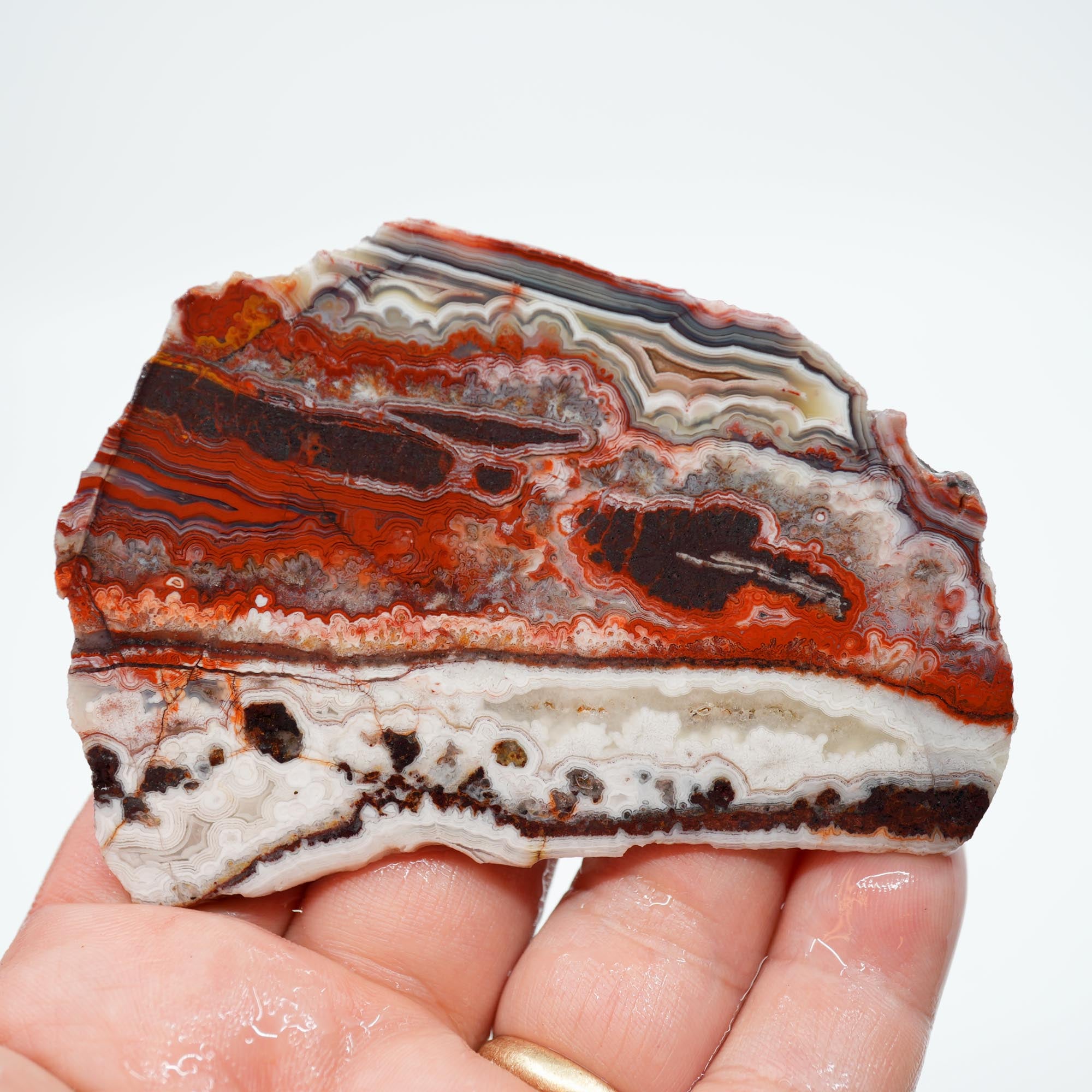 Laguna Lace Agate Endcut - Red Lace with Black Veining