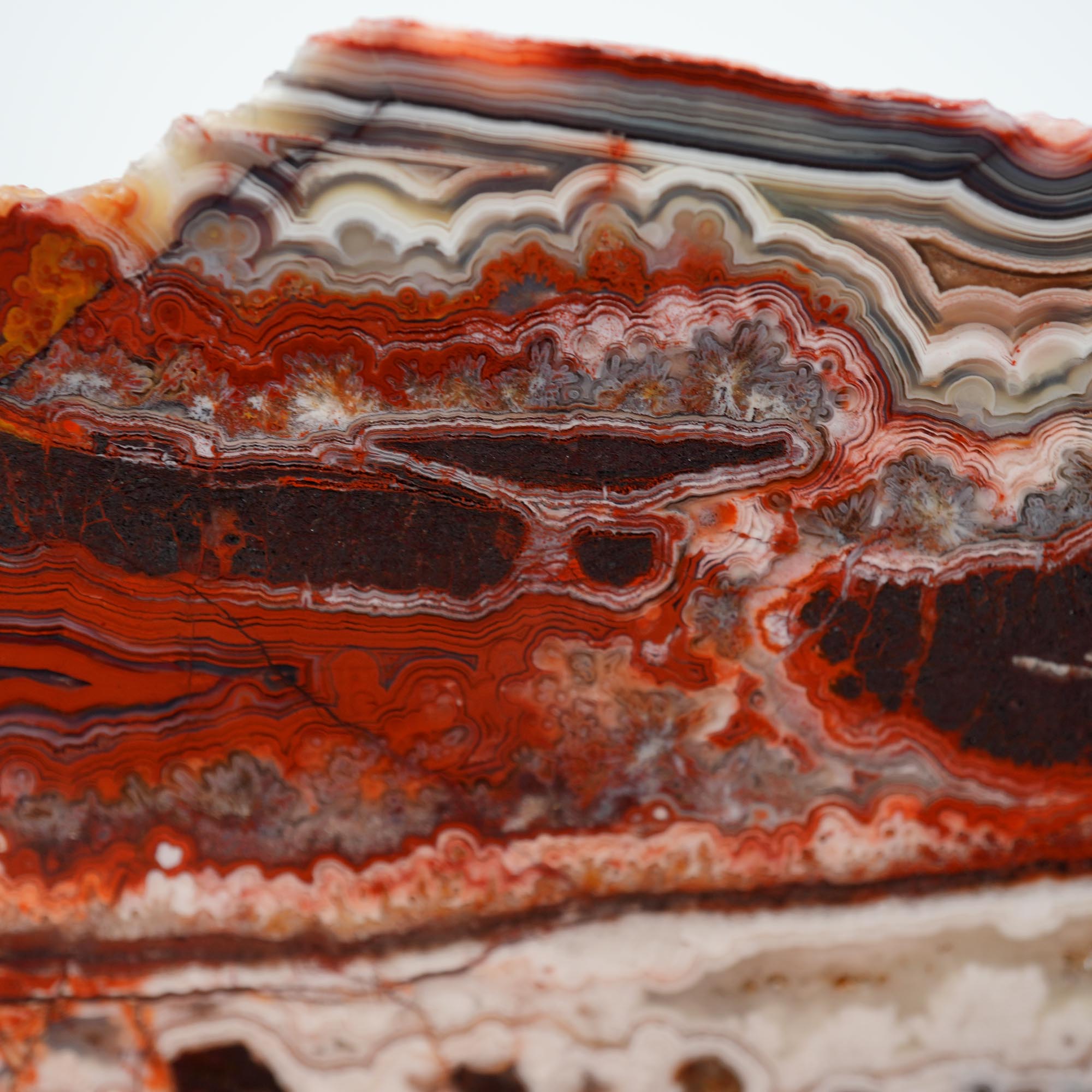 Laguna Lace Agate Endcut - Red Lace with Black Veining