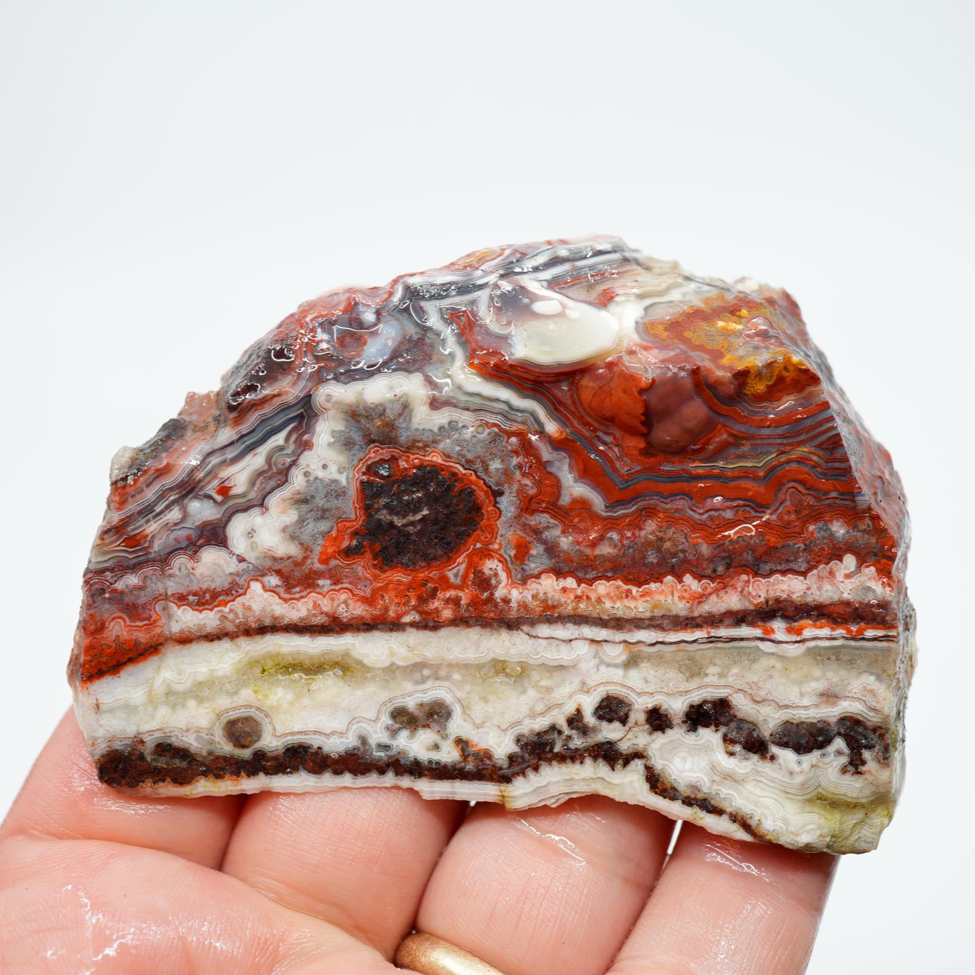 Laguna Lace Agate Endcut - Red Lace with Black Veining