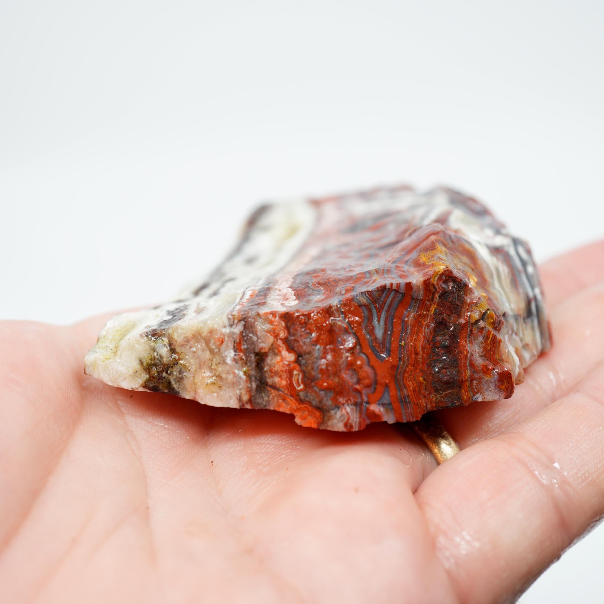 Laguna Lace Agate Endcut - Red Lace with Black Veining