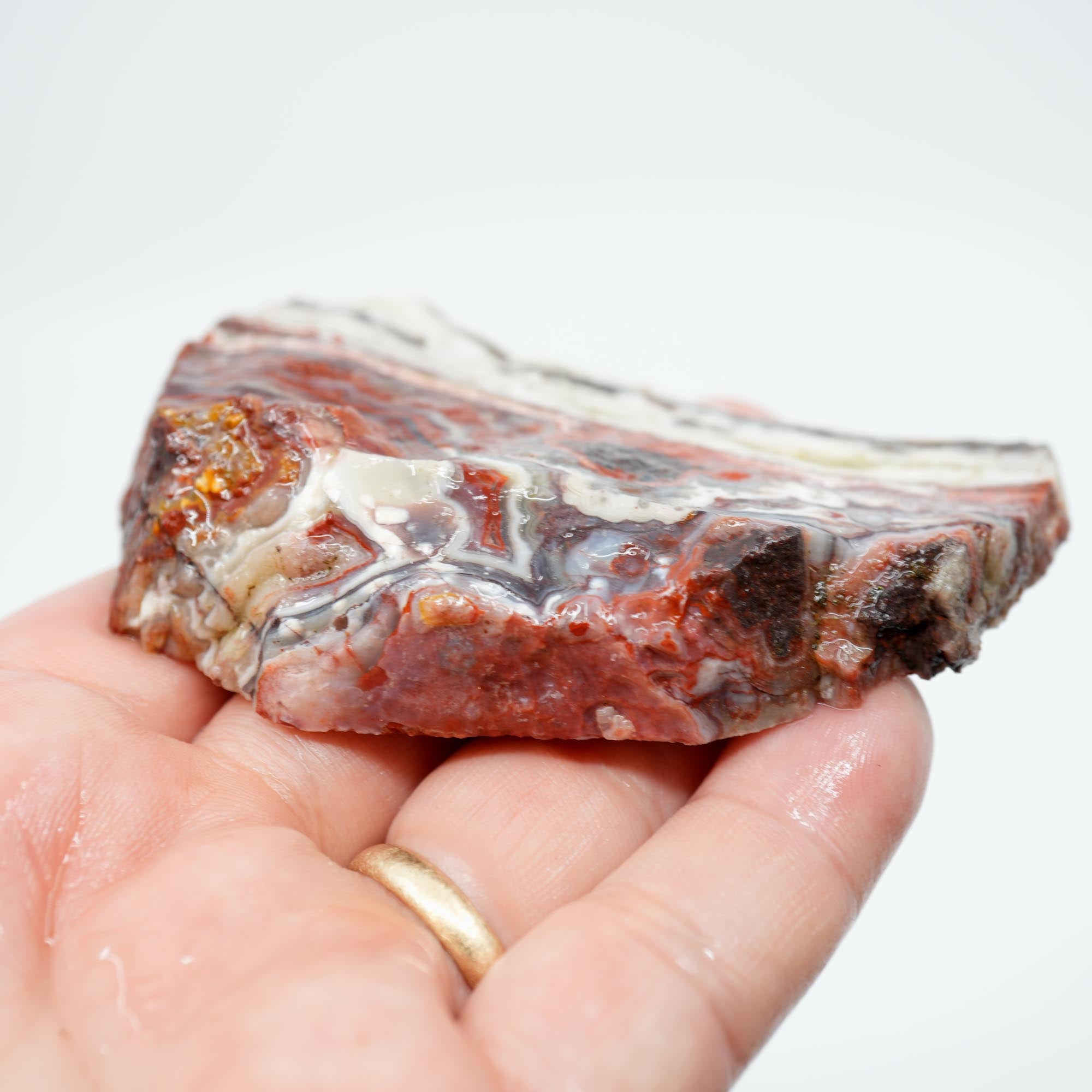 Laguna Lace Agate Endcut - Red Lace with Black Veining