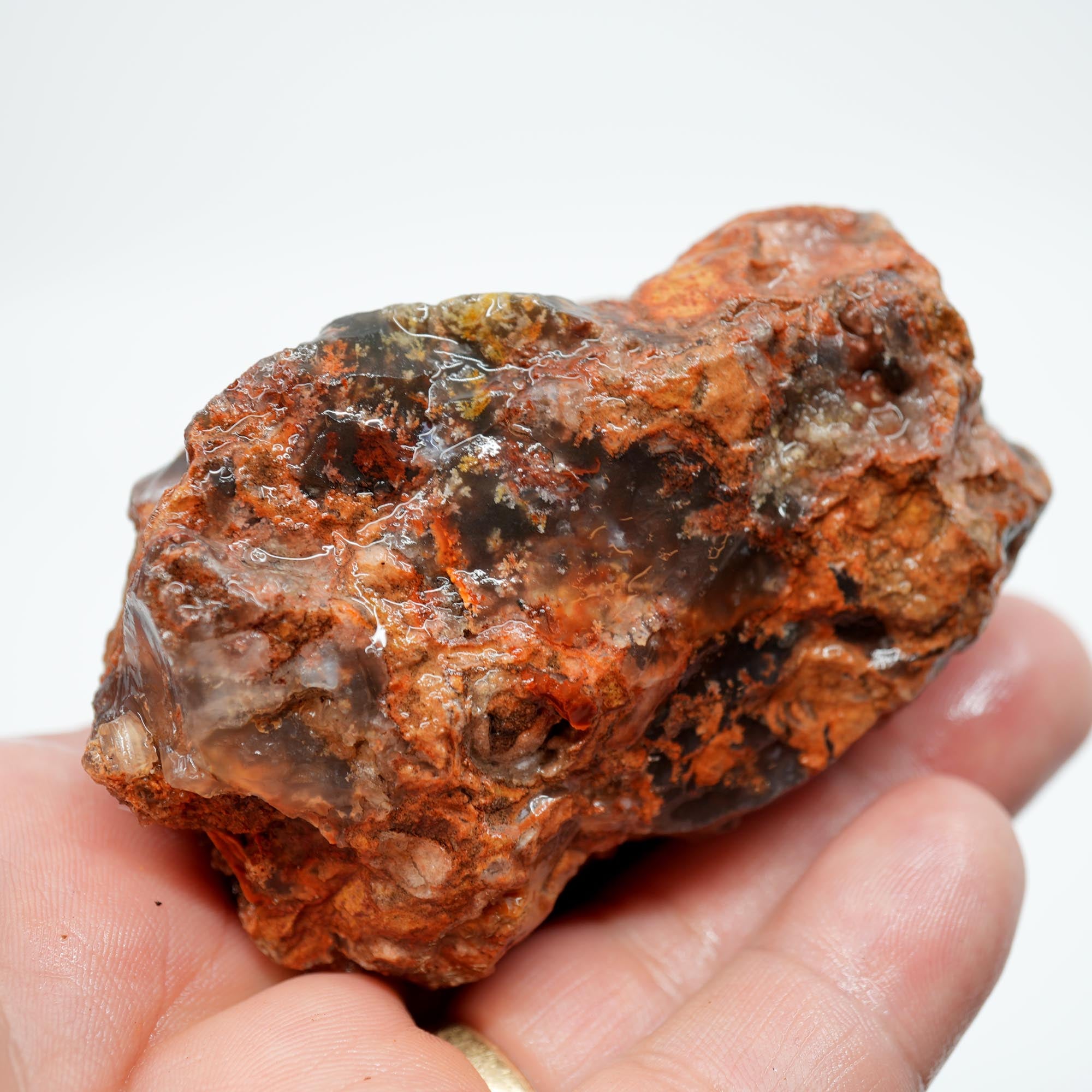 Carey Plume Agate Rough - Old Stock with Angel Wing Inclusion