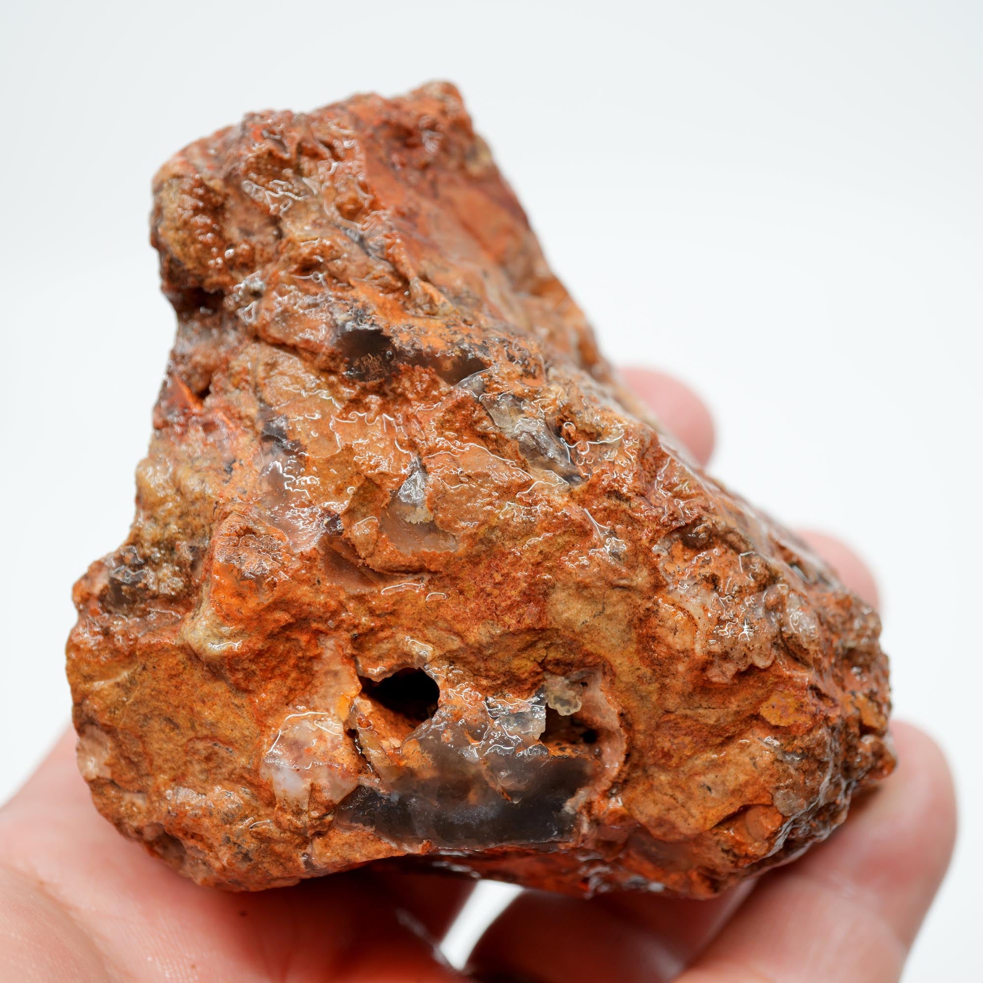 Carey Plume Agate Rough - Old Stock with Angel Wing Inclusion