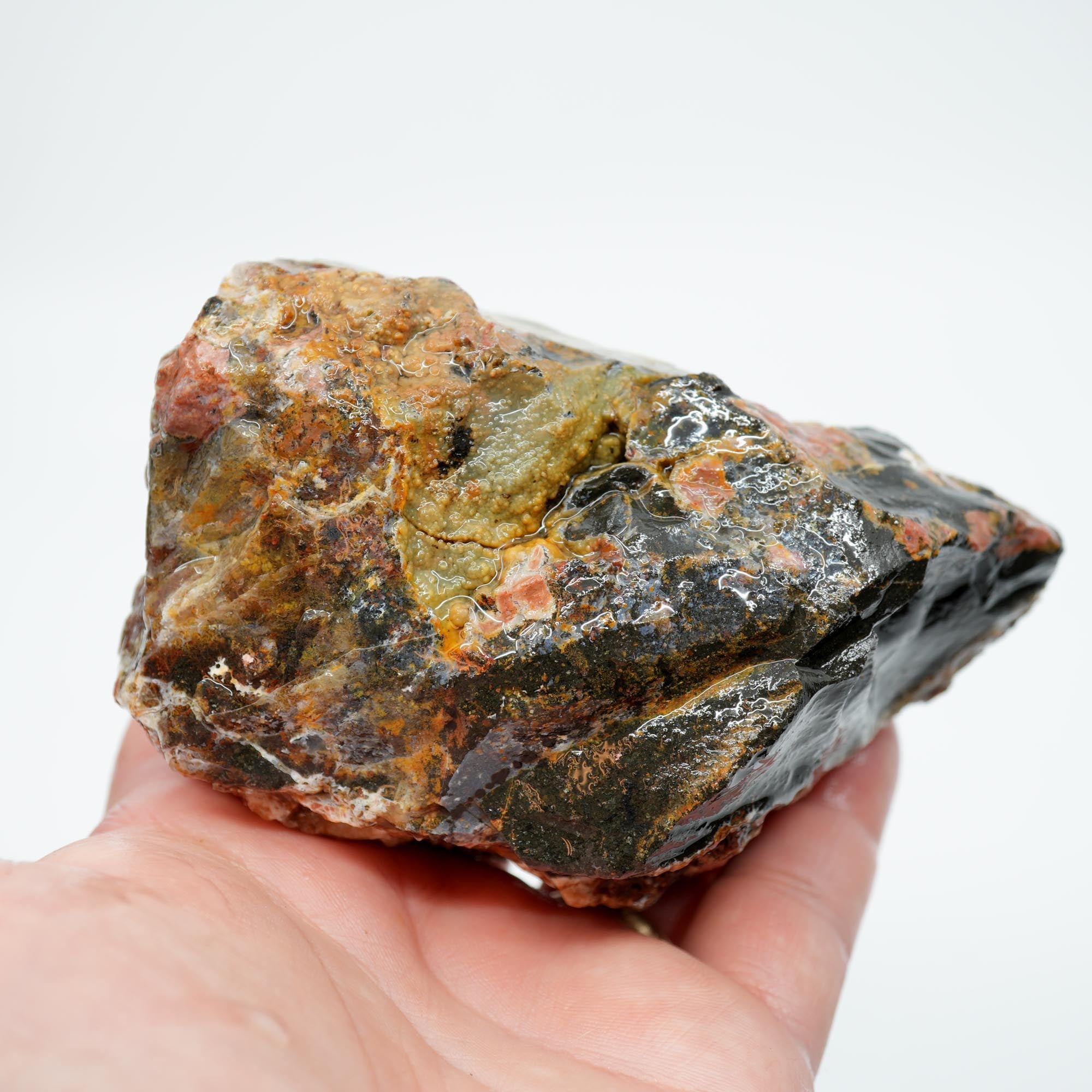 Eagle Rock Plume Agate Rough - Black Marcasite Old Stock