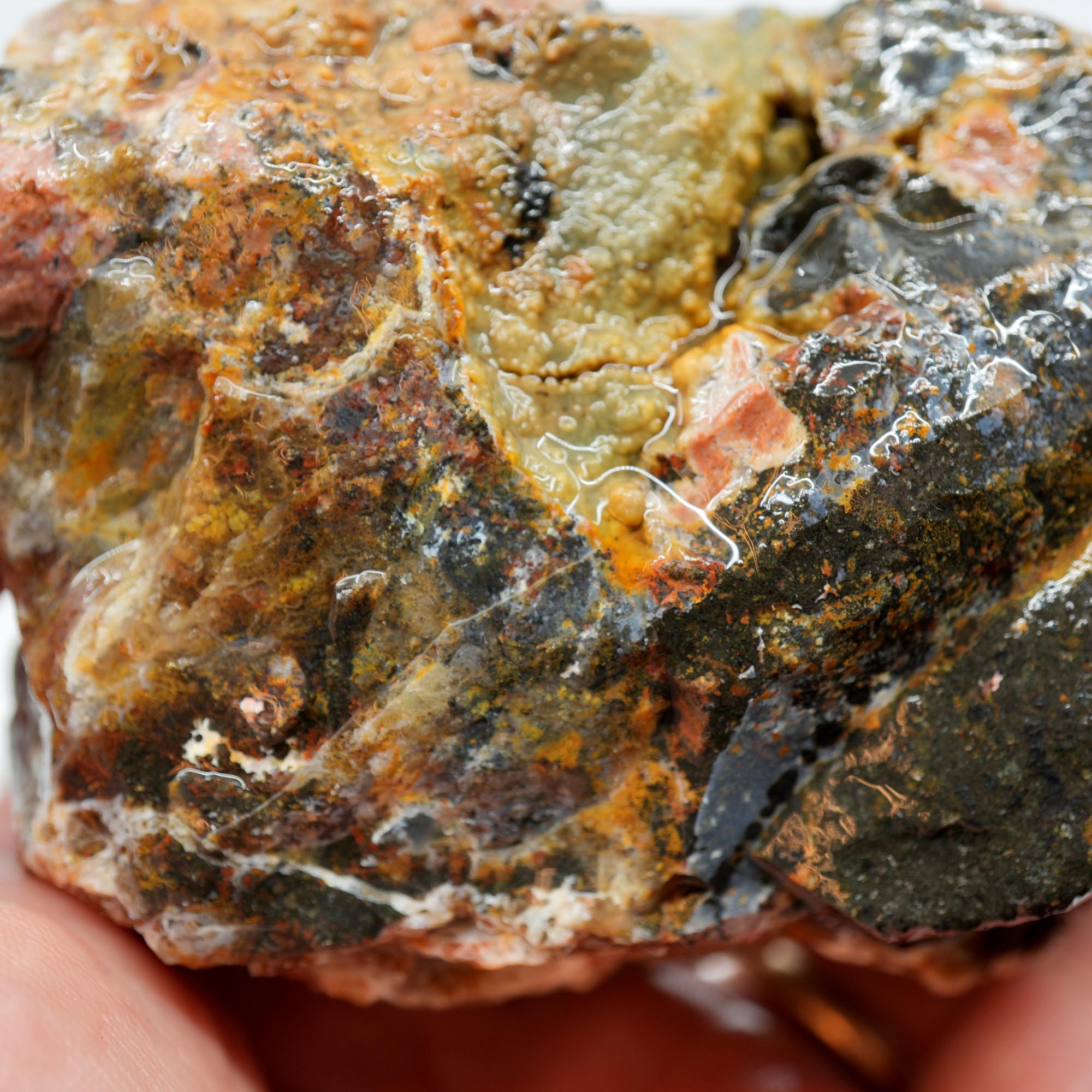 Eagle Rock Plume Agate Rough - Black Marcasite Old Stock