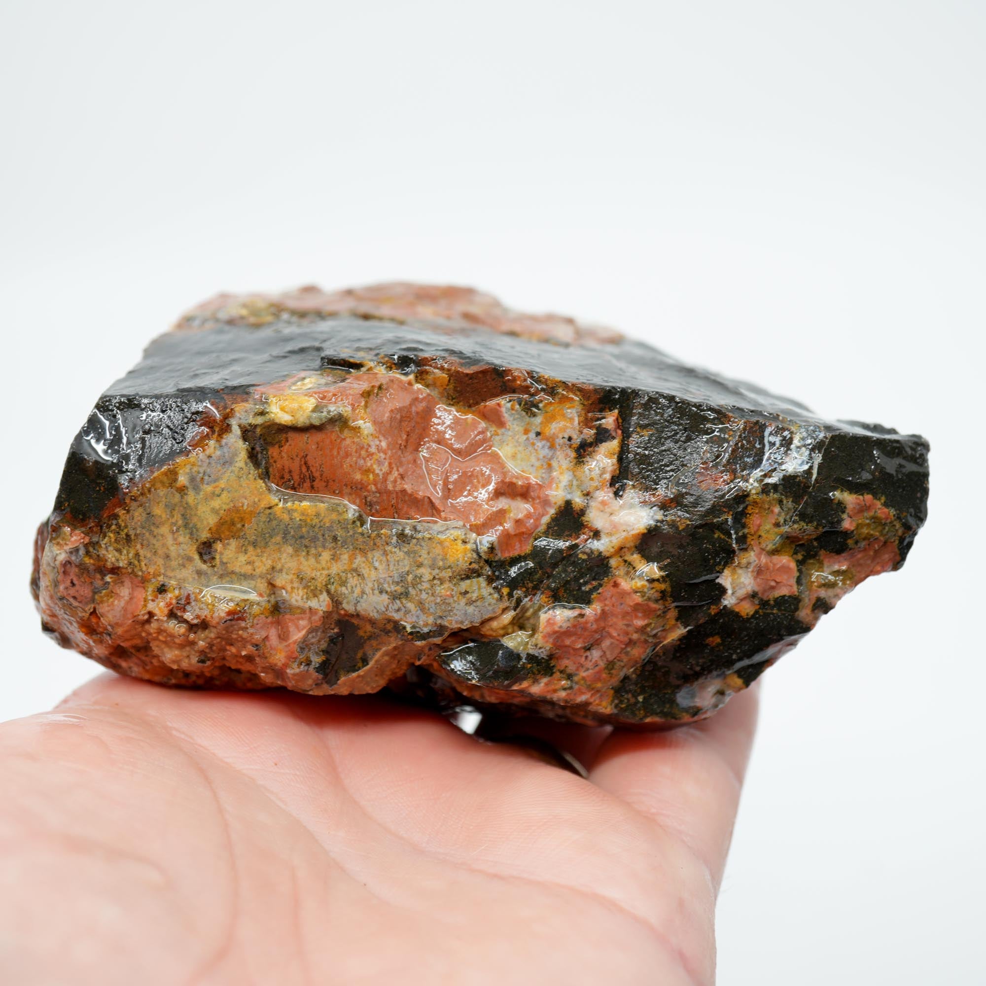 Eagle Rock Plume Agate Rough - Black Marcasite Old Stock