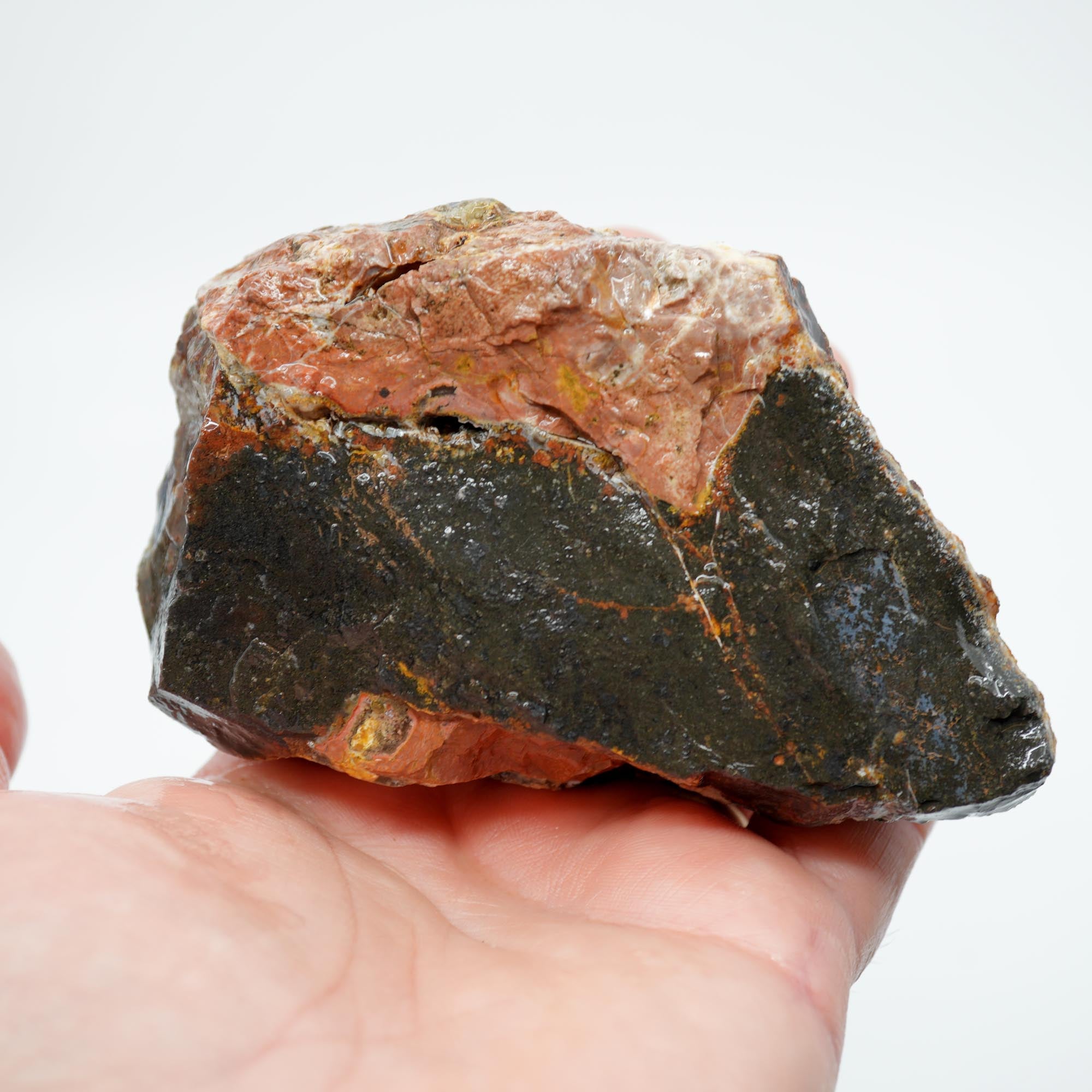 Eagle Rock Plume Agate Rough - Black Marcasite Old Stock