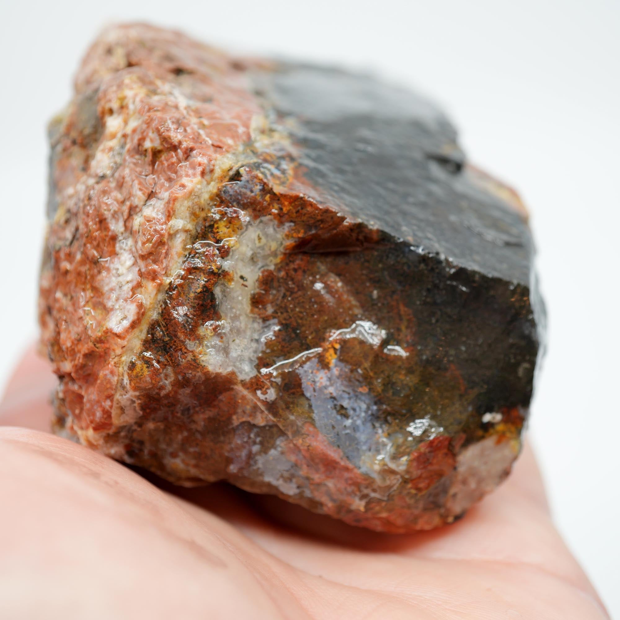 Eagle Rock Plume Agate Rough - Black Marcasite Old Stock
