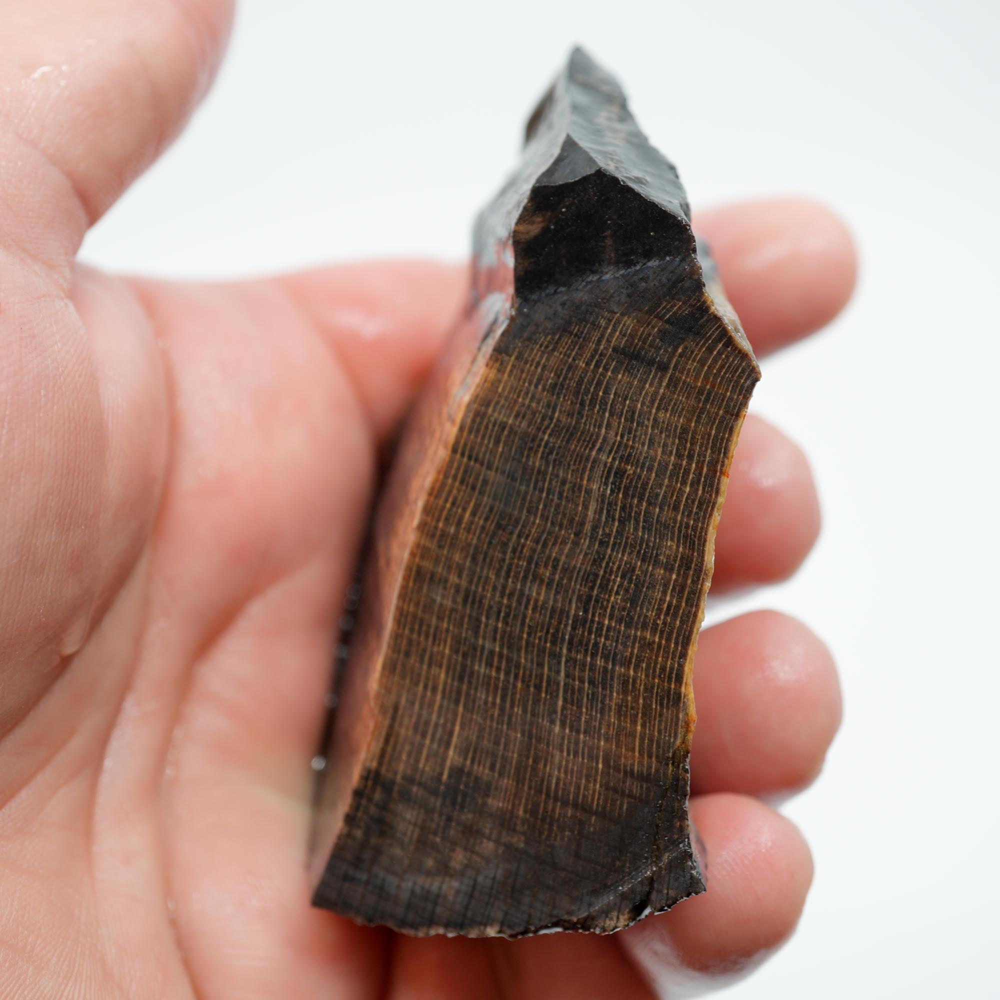 Mystery Petrified Wood Endcut - Black Based Pattern Old Stock