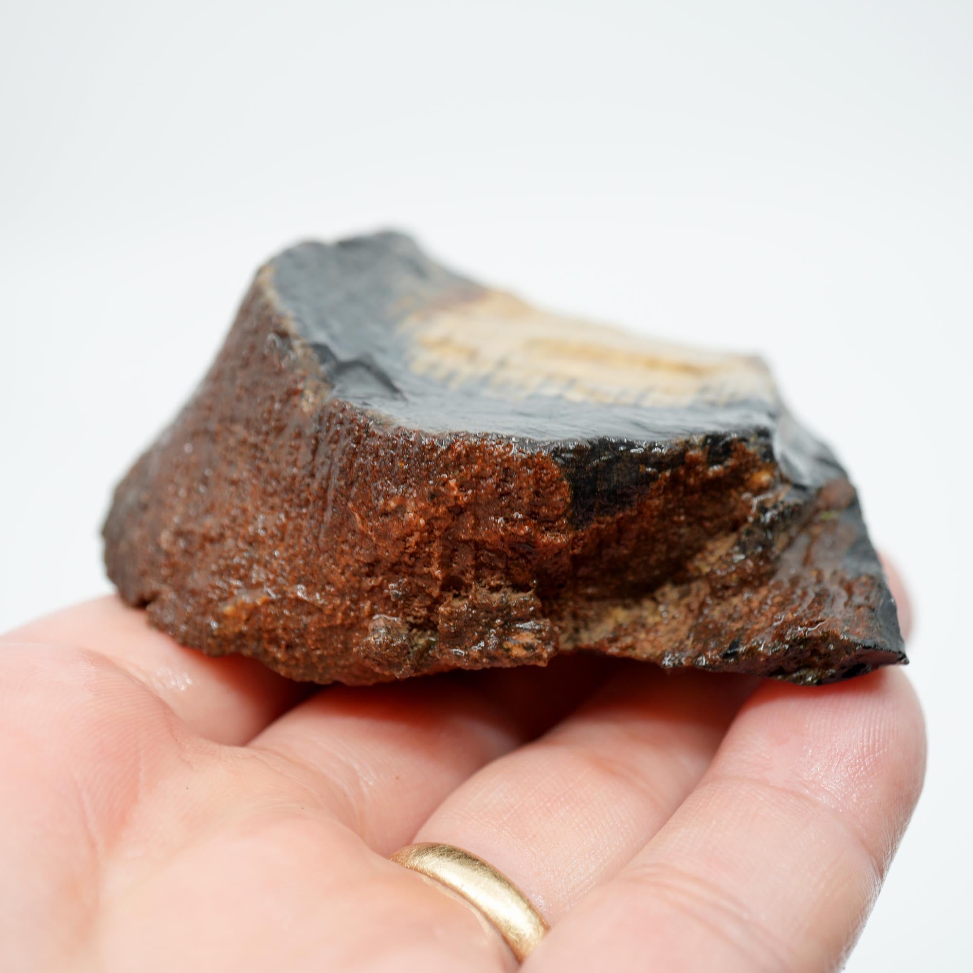 Mystery Petrified Wood Endcut - Black Based Pattern Old Stock