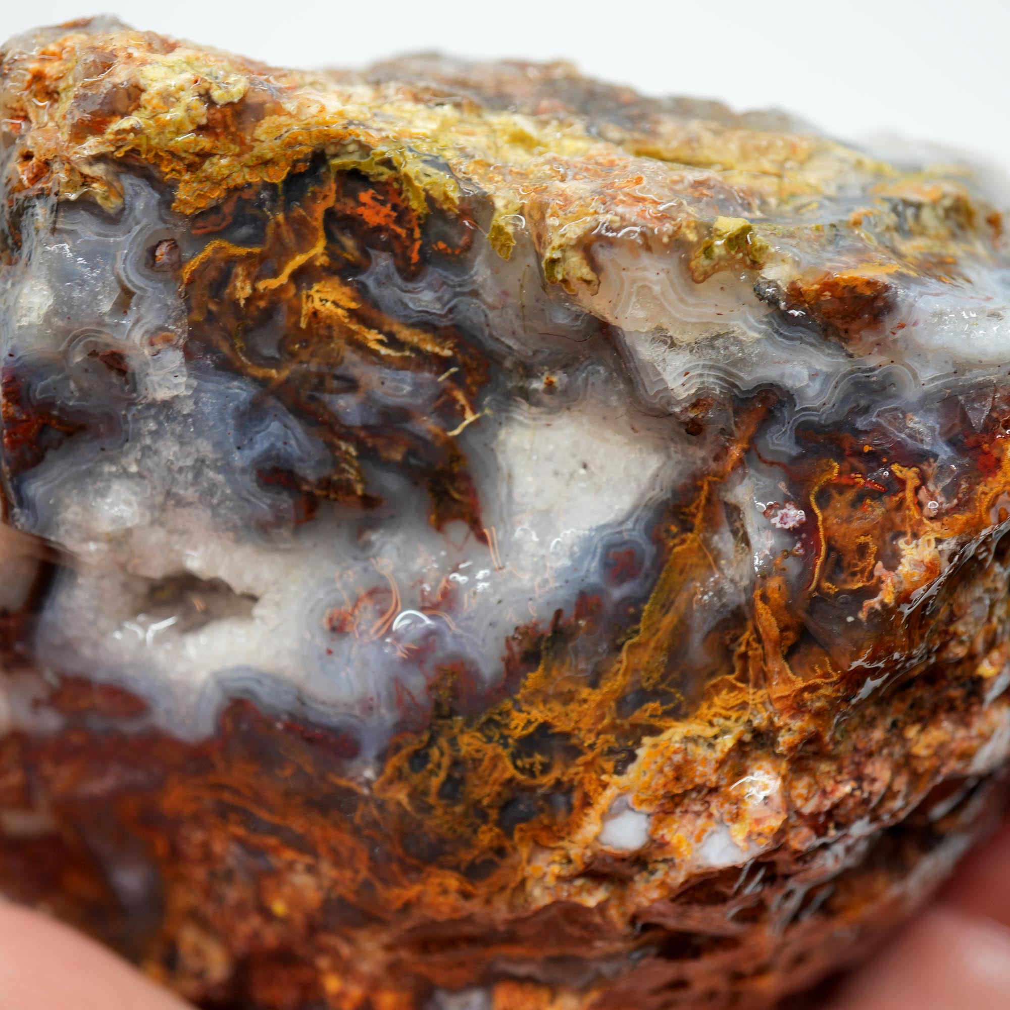 San Carlos Agate Rough - Red Moss with Quartz Crystal Top