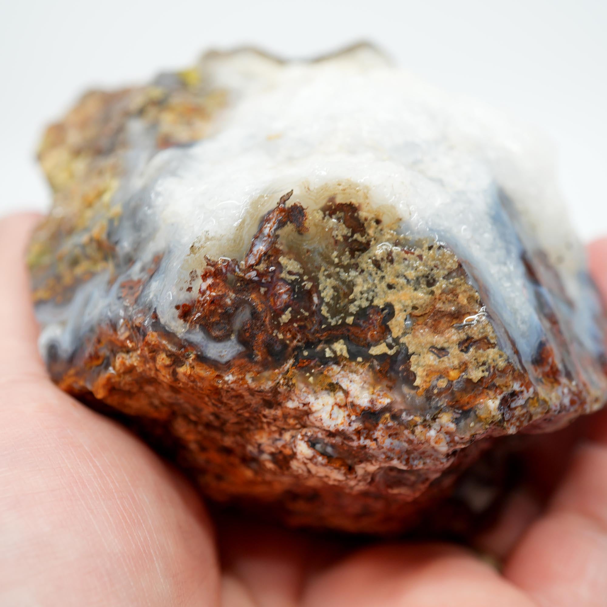 San Carlos Agate Rough - Red Moss with Quartz Crystal Top