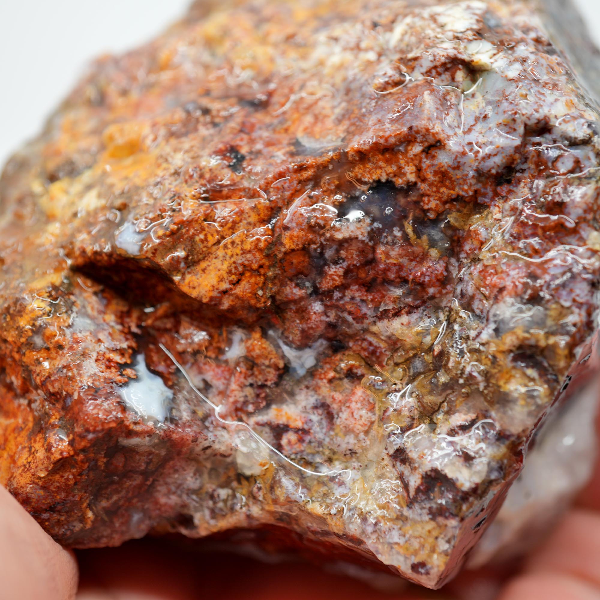 San Carlos Agate Rough - Red Moss with Quartz Crystal Top