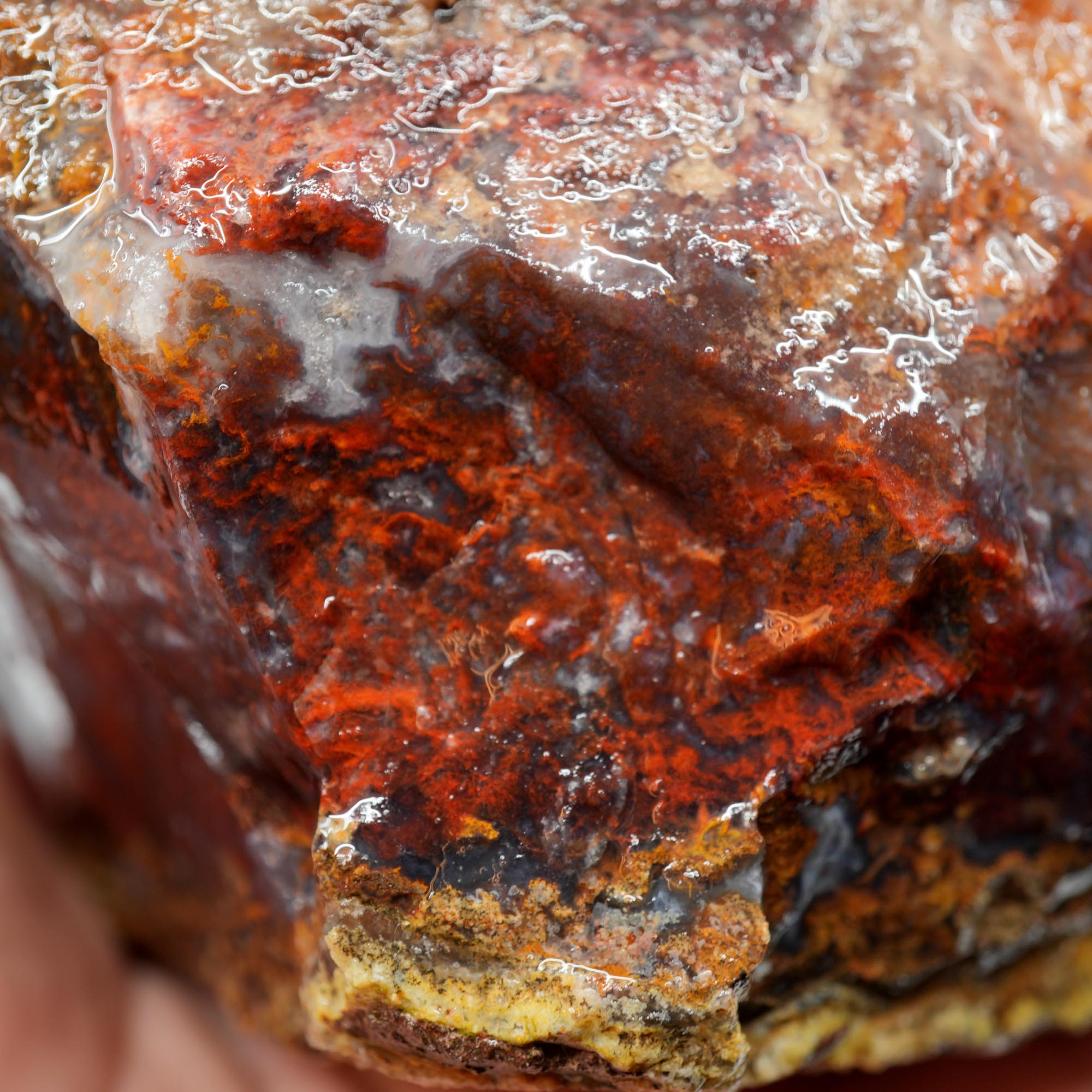 San Carlos Agate Rough - Golden Moss with Pink and Blue