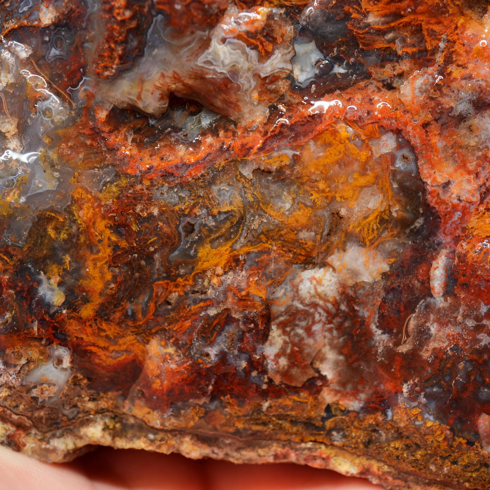 San Carlos Agate Rough - Golden Moss with Pink and Blue