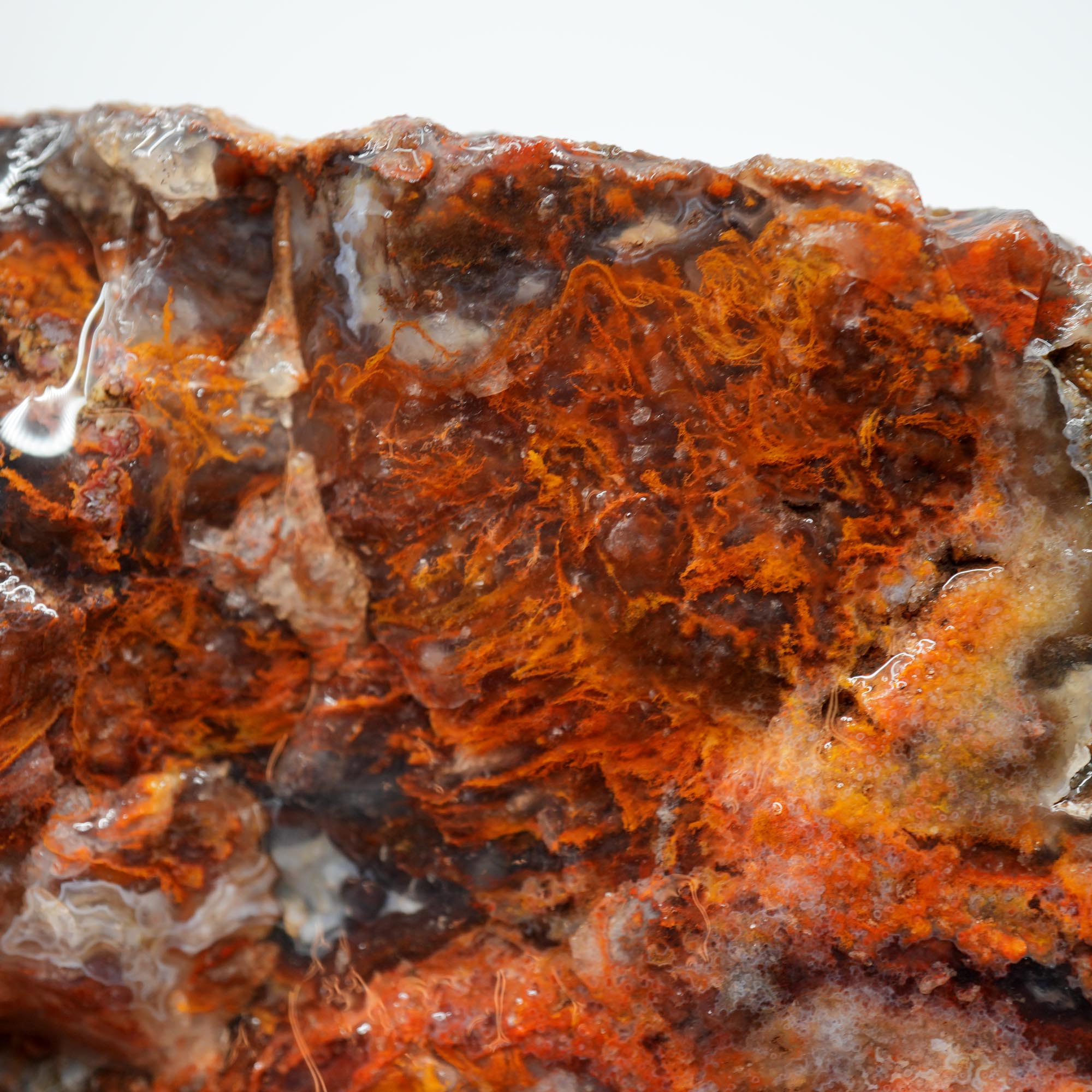 San Carlos Agate Rough - Golden Moss with Pink and Blue