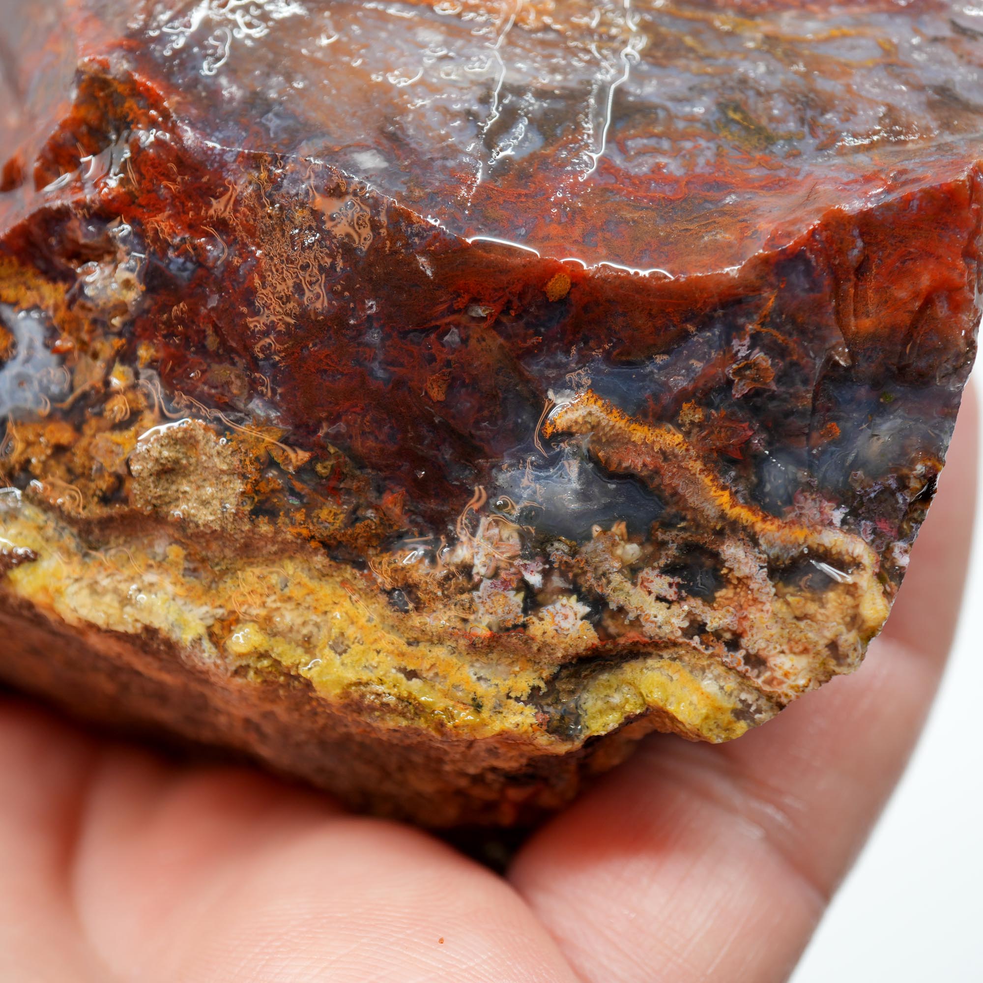 San Carlos Agate Rough - Golden Moss with Pink and Blue